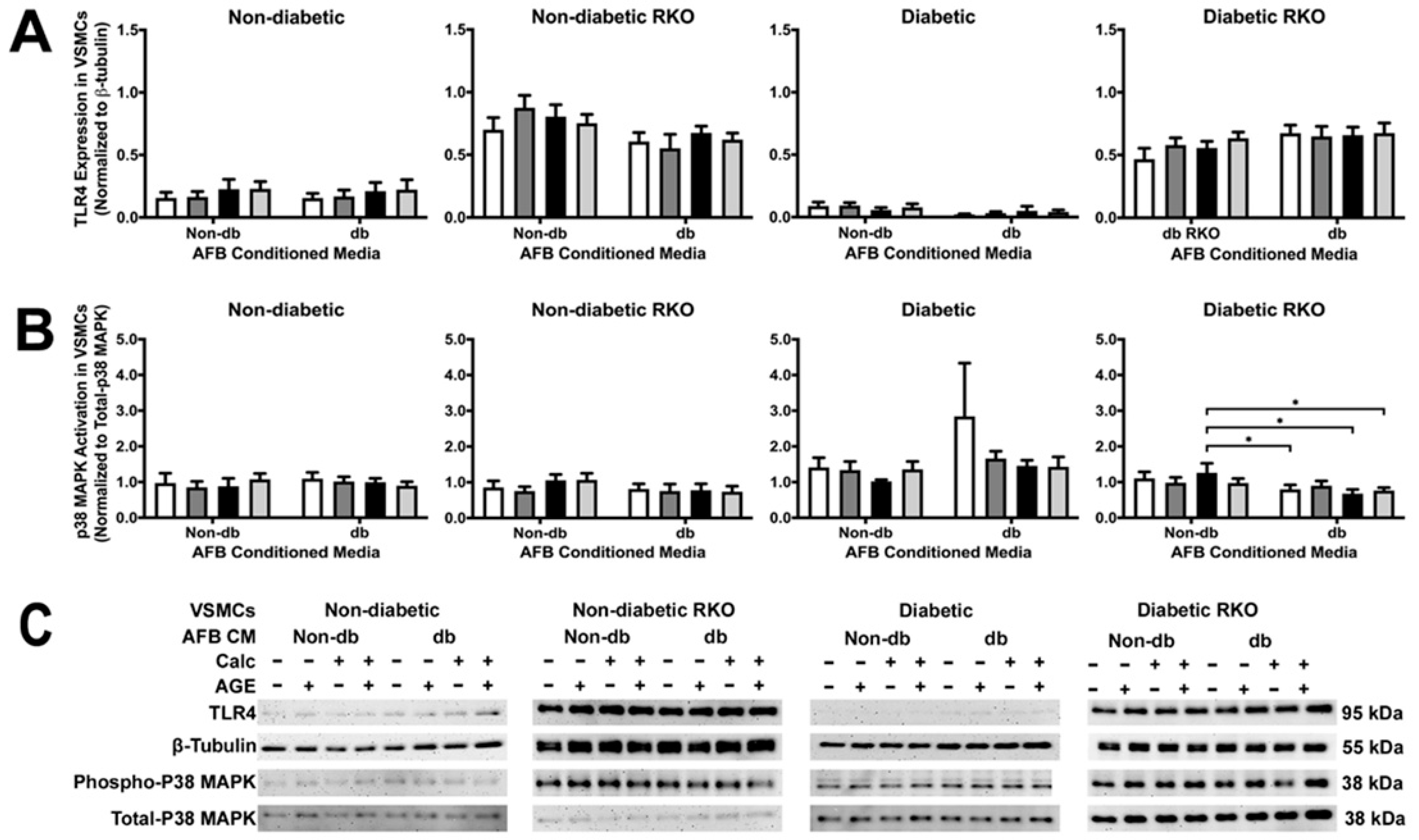 Ijms Free Full Text Paracrine Signals In Calcified Conditioned