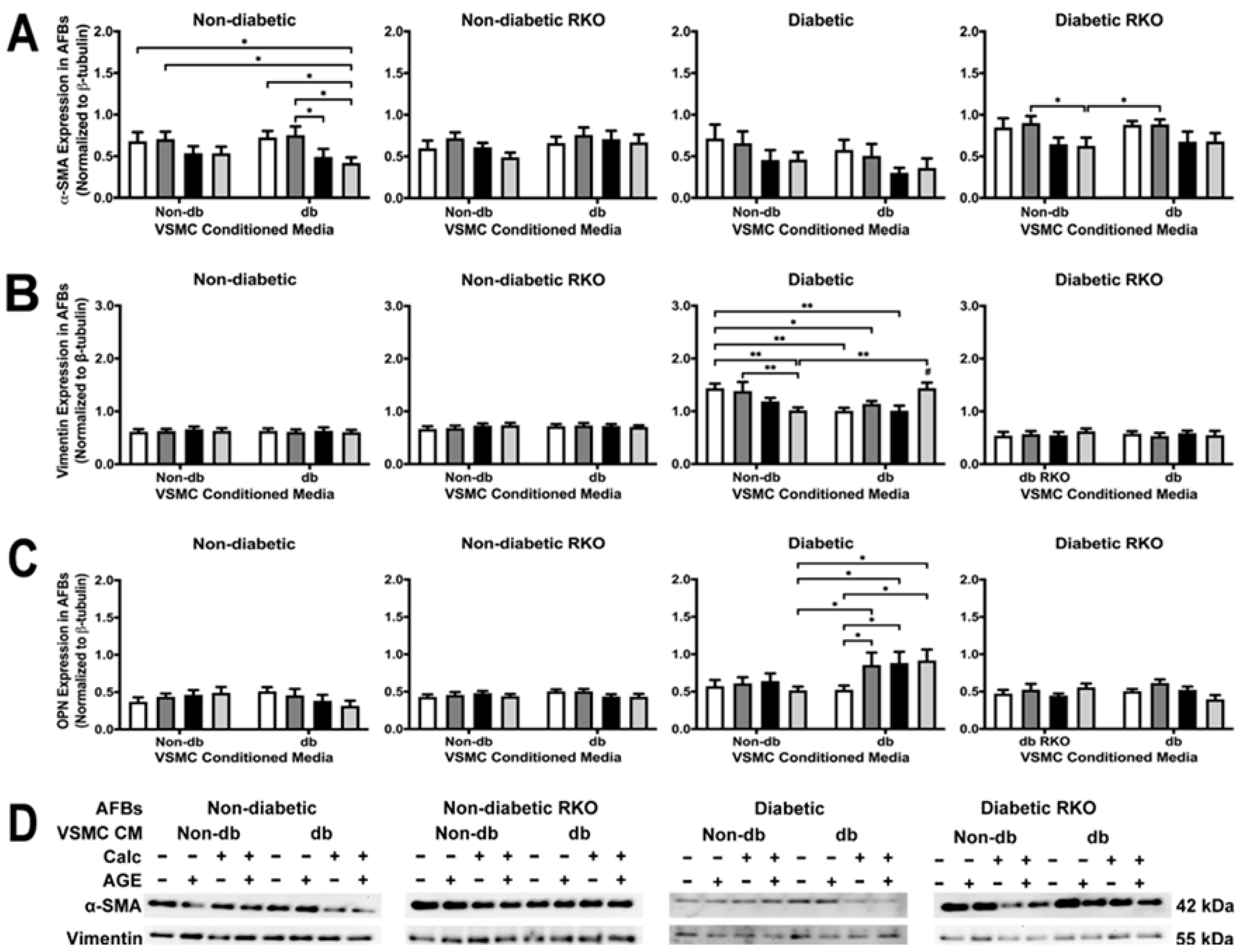 Ijms Free Full Text Paracrine Signals In Calcified Conditioned