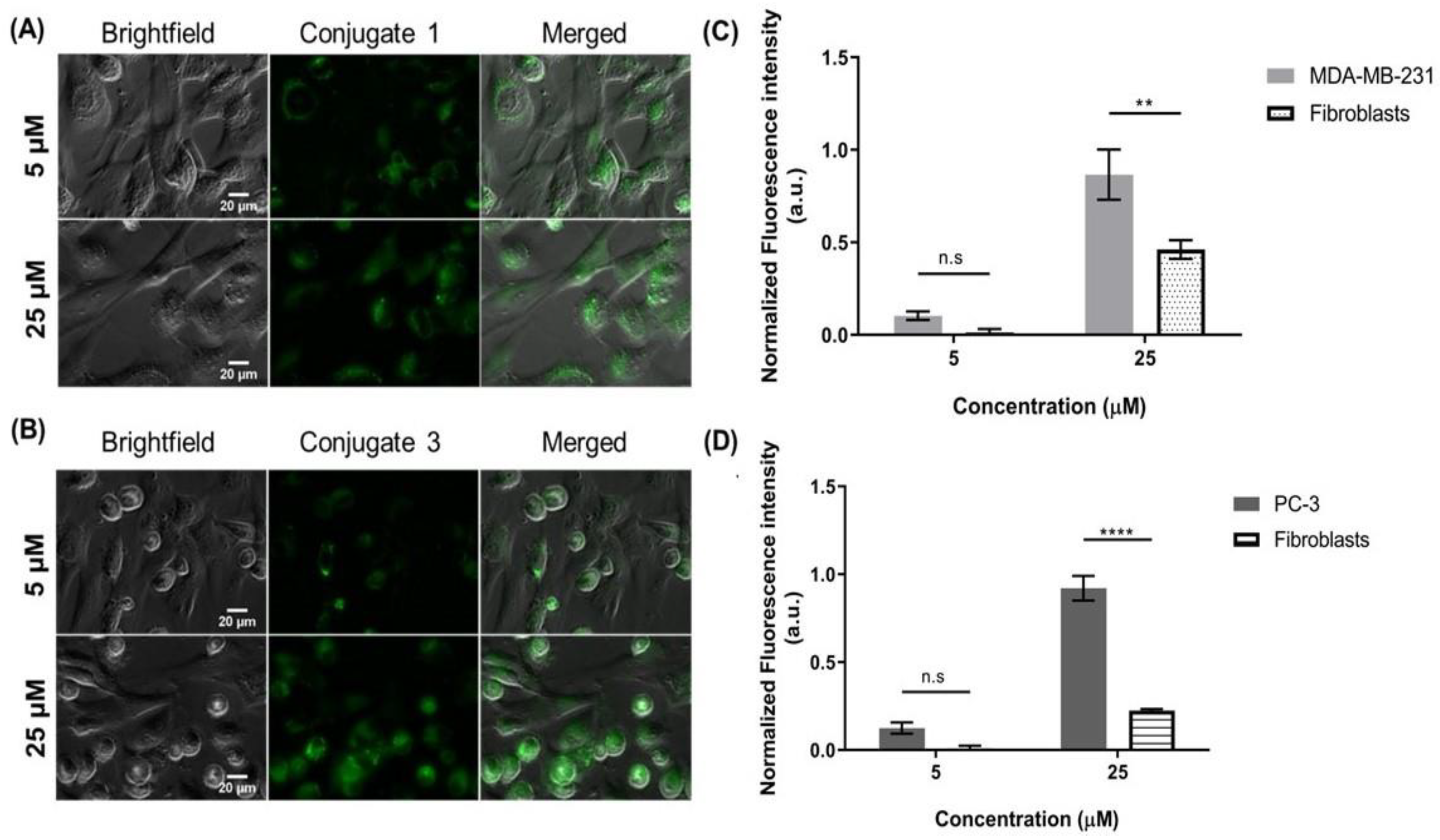 Ijms 24 03600 g003 Ijms 24 03600 g003