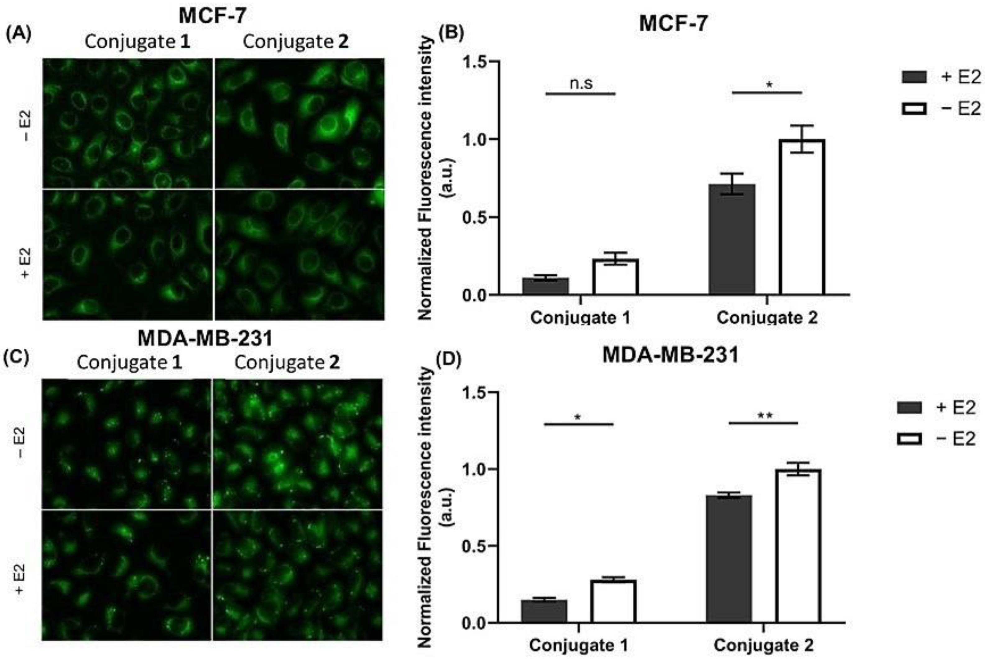 Ijms 24 03600 g004 Ijms 24 03600 g004