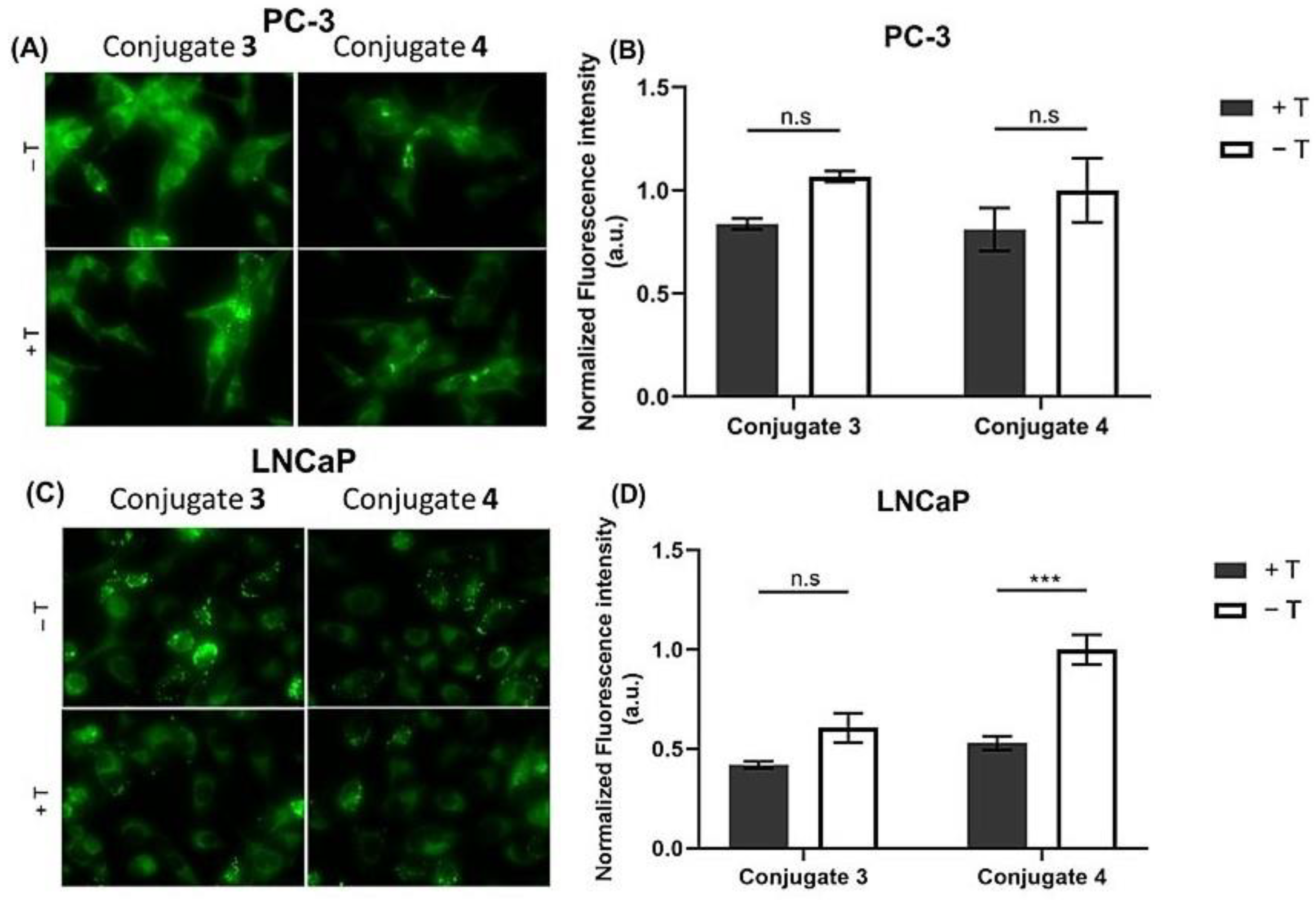 Ijms 24 03600 g005 Ijms 24 03600 g005
