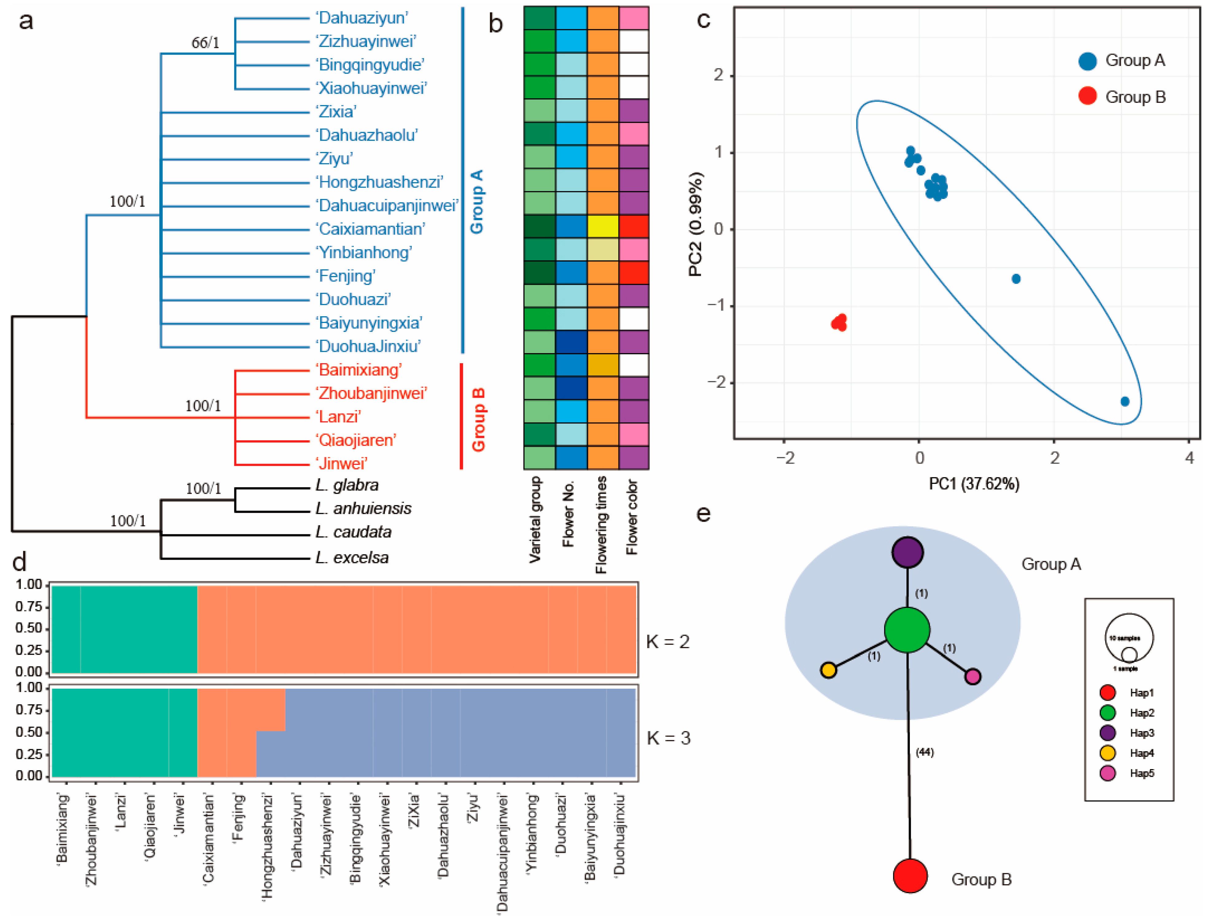 Ijms 24 03606 g004 Ijms 24 03606 g004