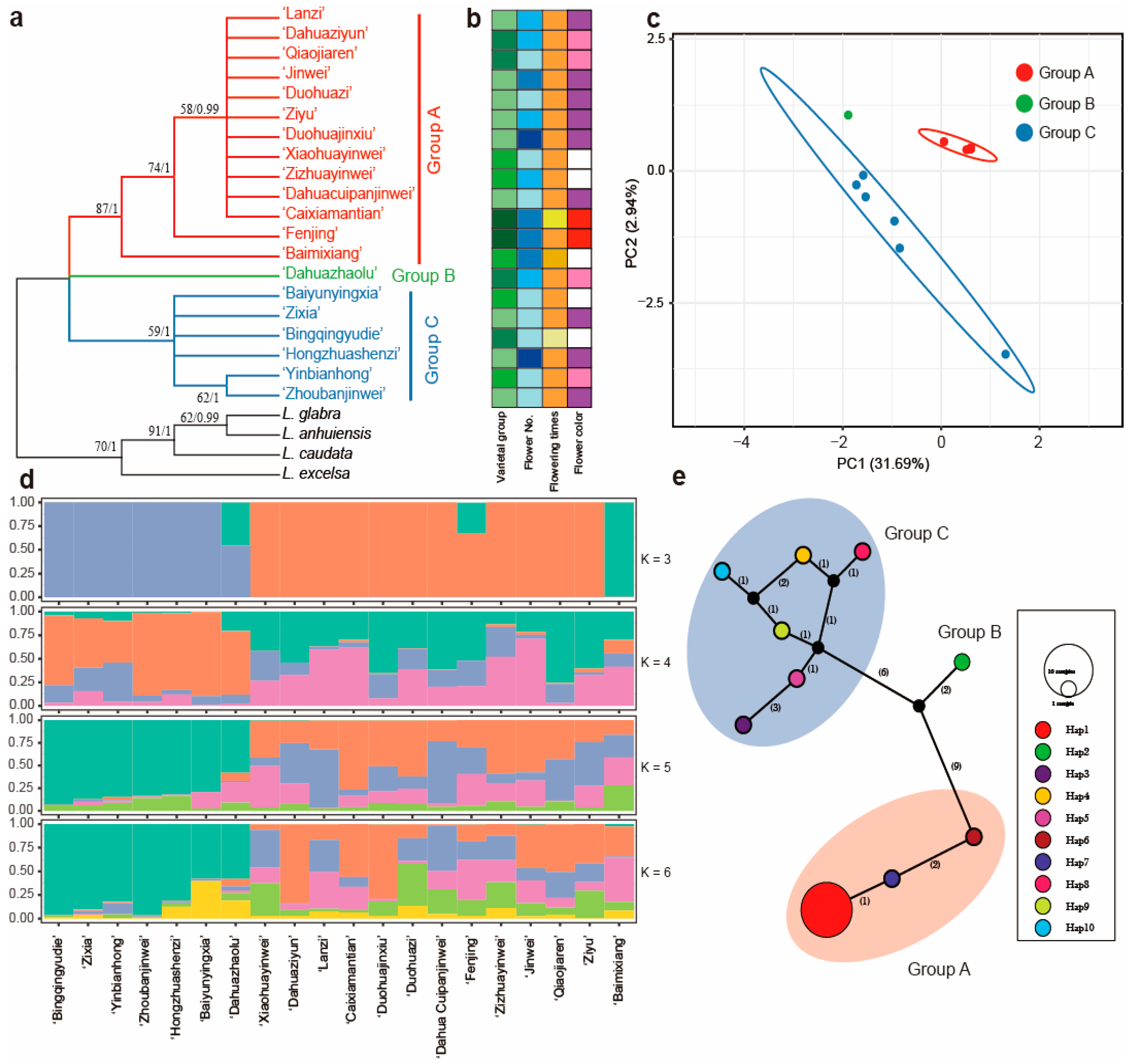 Ijms 24 03606 g005 Ijms 24 03606 g005