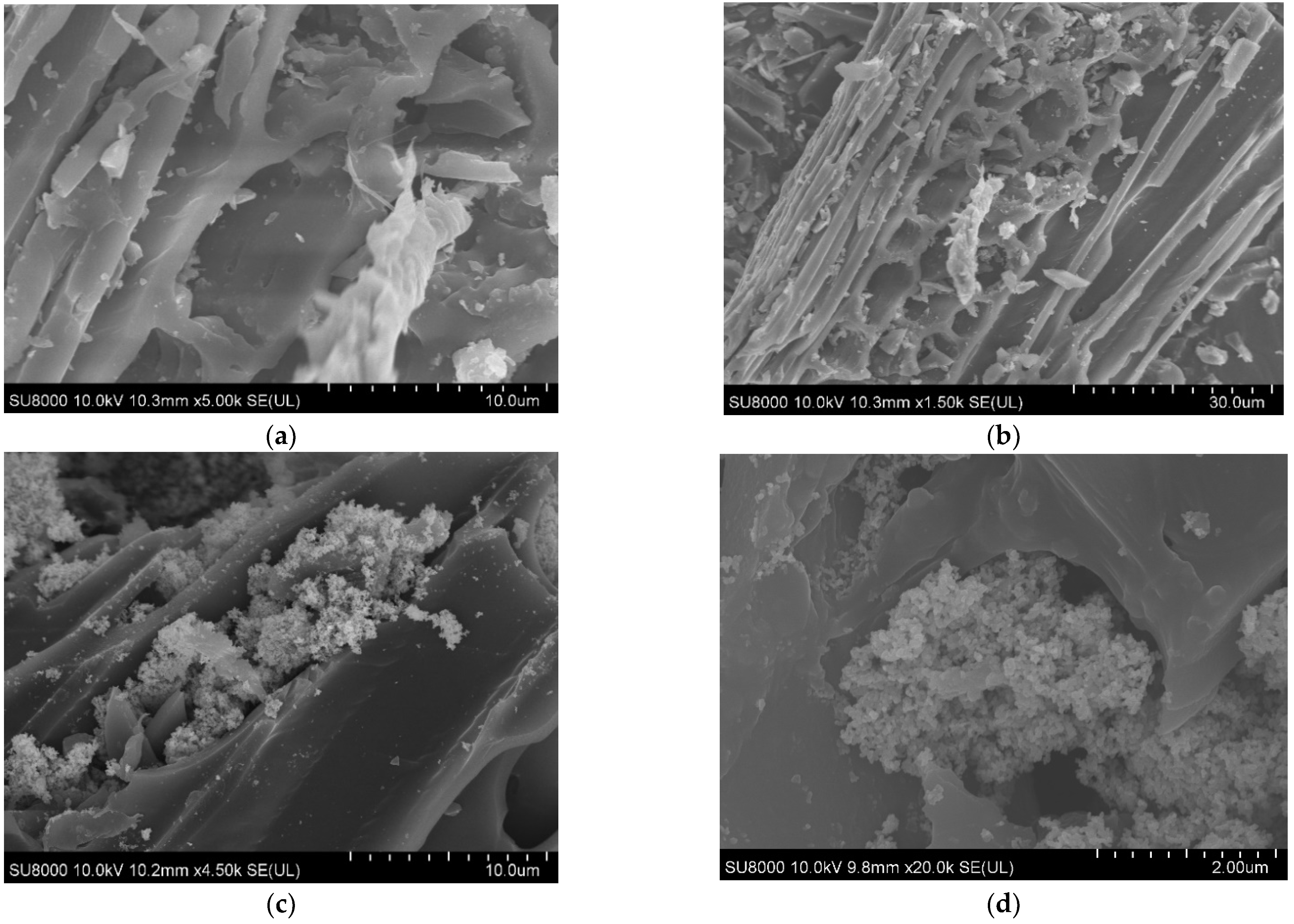 Ijms 24 03609 g001 Ijms 24 03609 g001