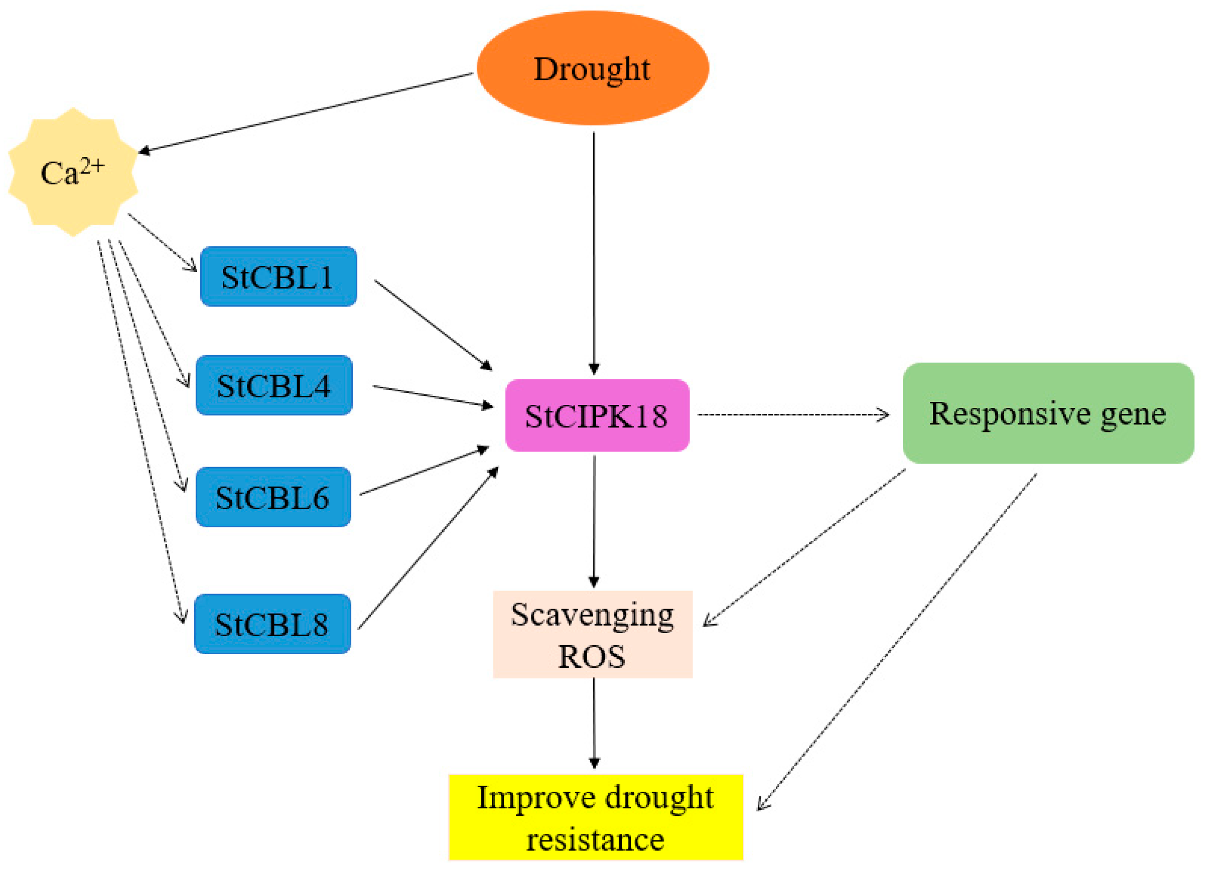 Ijms 24 03613 g006 Ijms 24 03613 g006