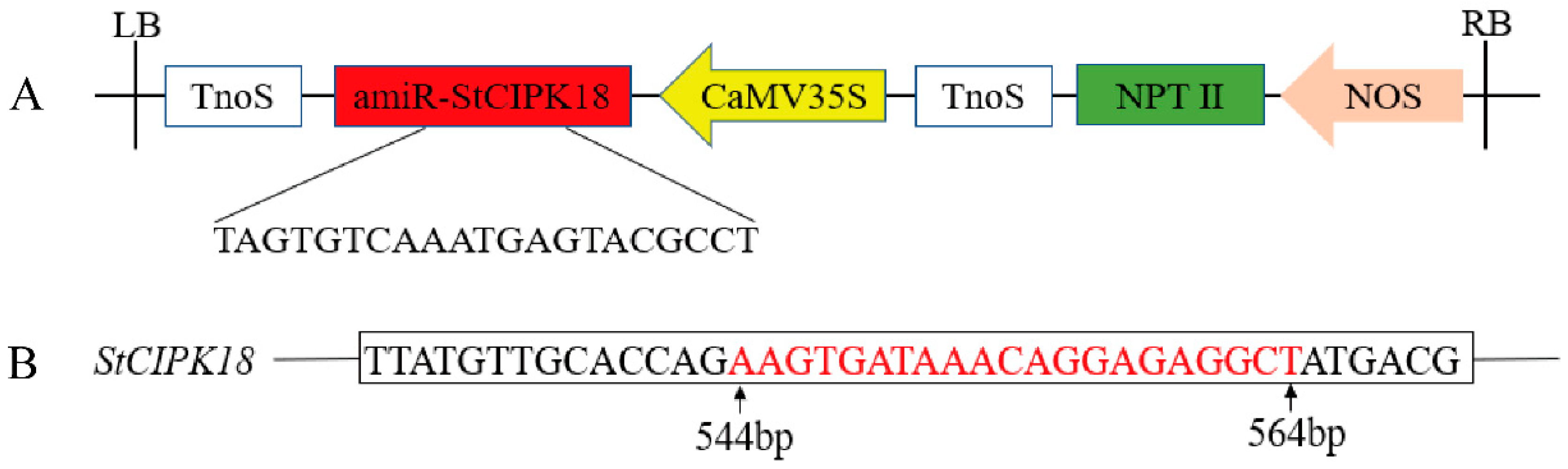Ijms 24 03613 g007 Ijms 24 03613 g007