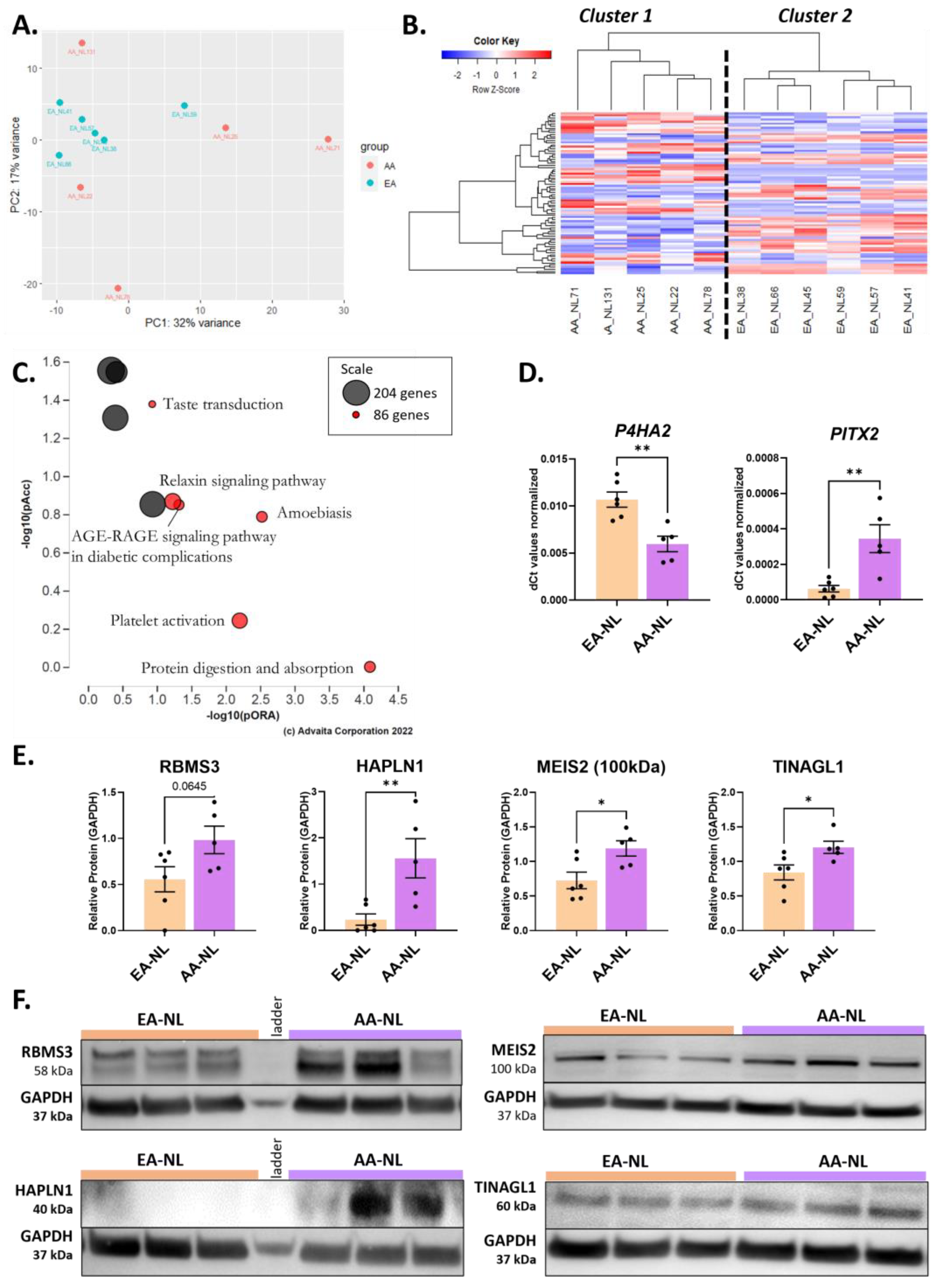 Ijms 24 03645 g001 Ijms 24 03645 g001