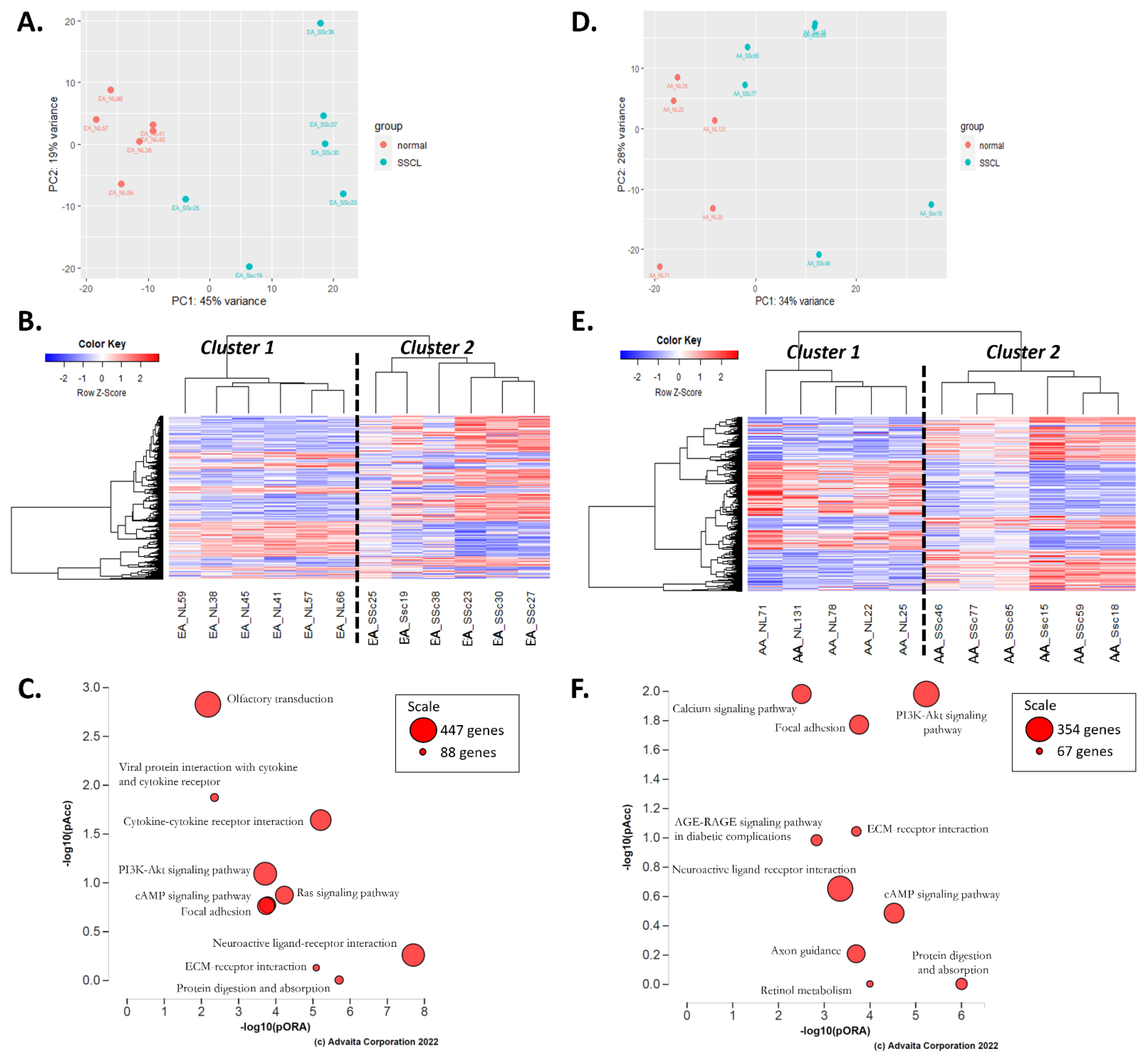 Ijms 24 03645 g002 Ijms 24 03645 g002
