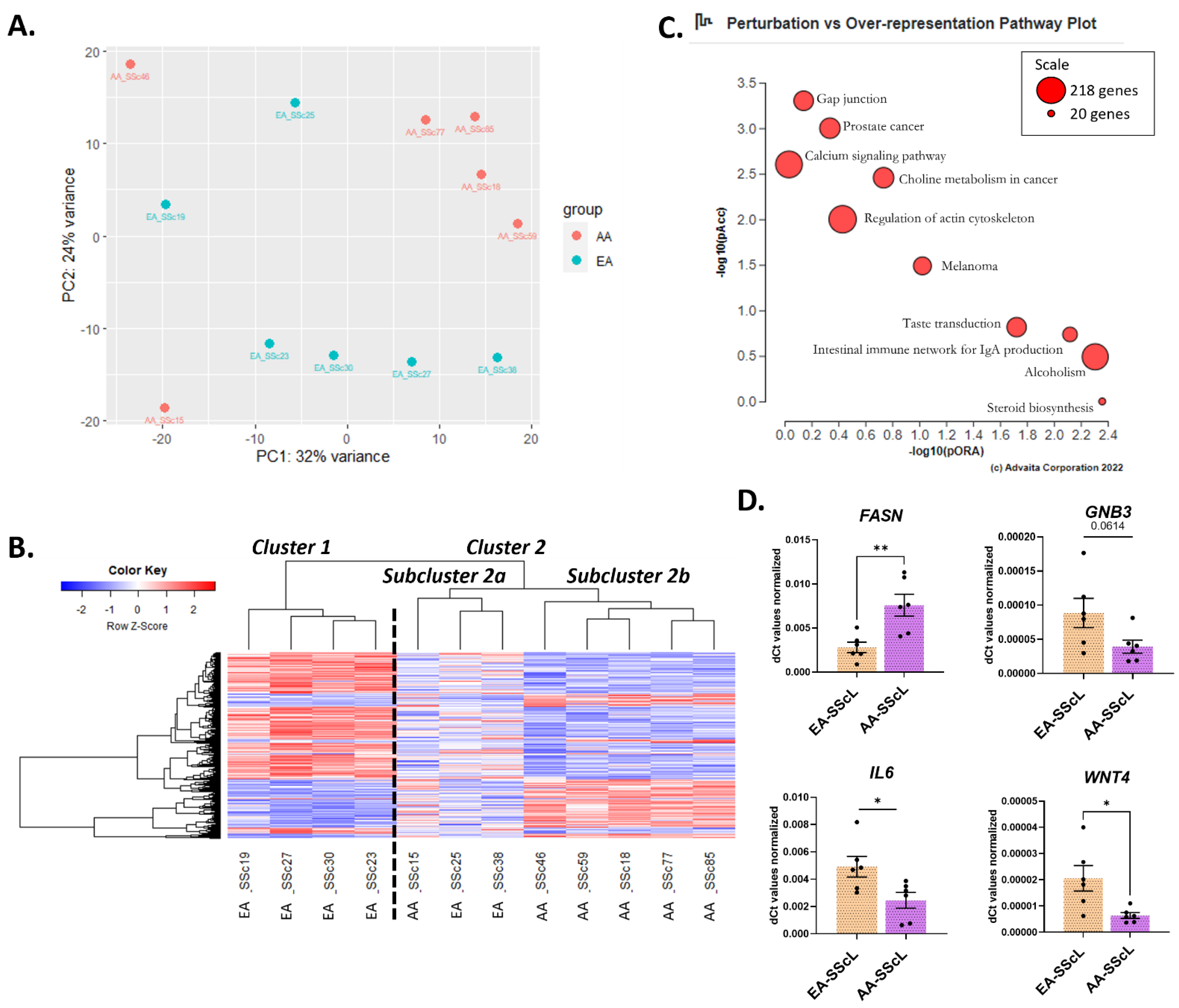 Ijms 24 03645 g005 Ijms 24 03645 g005