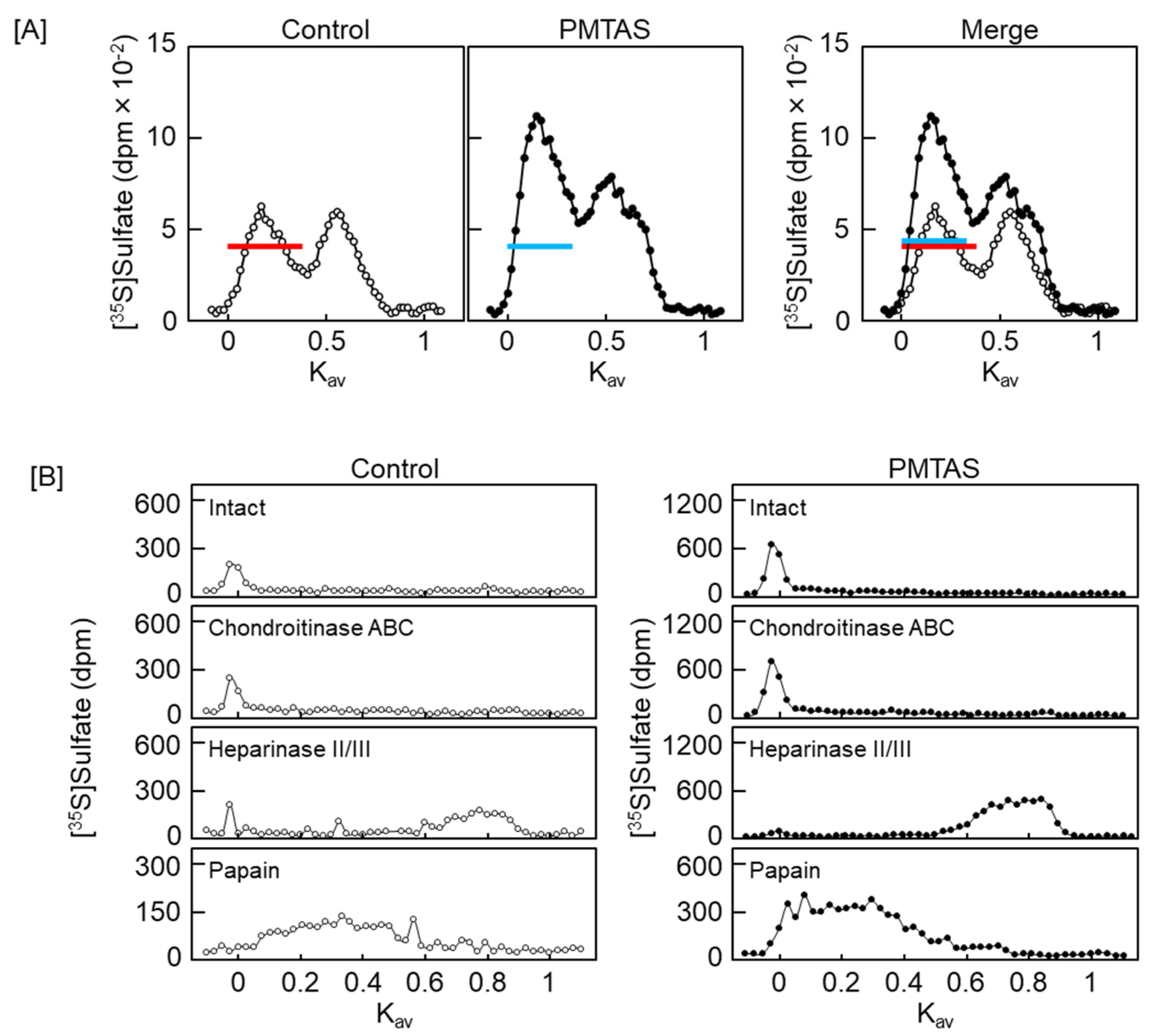Ijms 24 03656 g006 Ijms 24 03656 g006