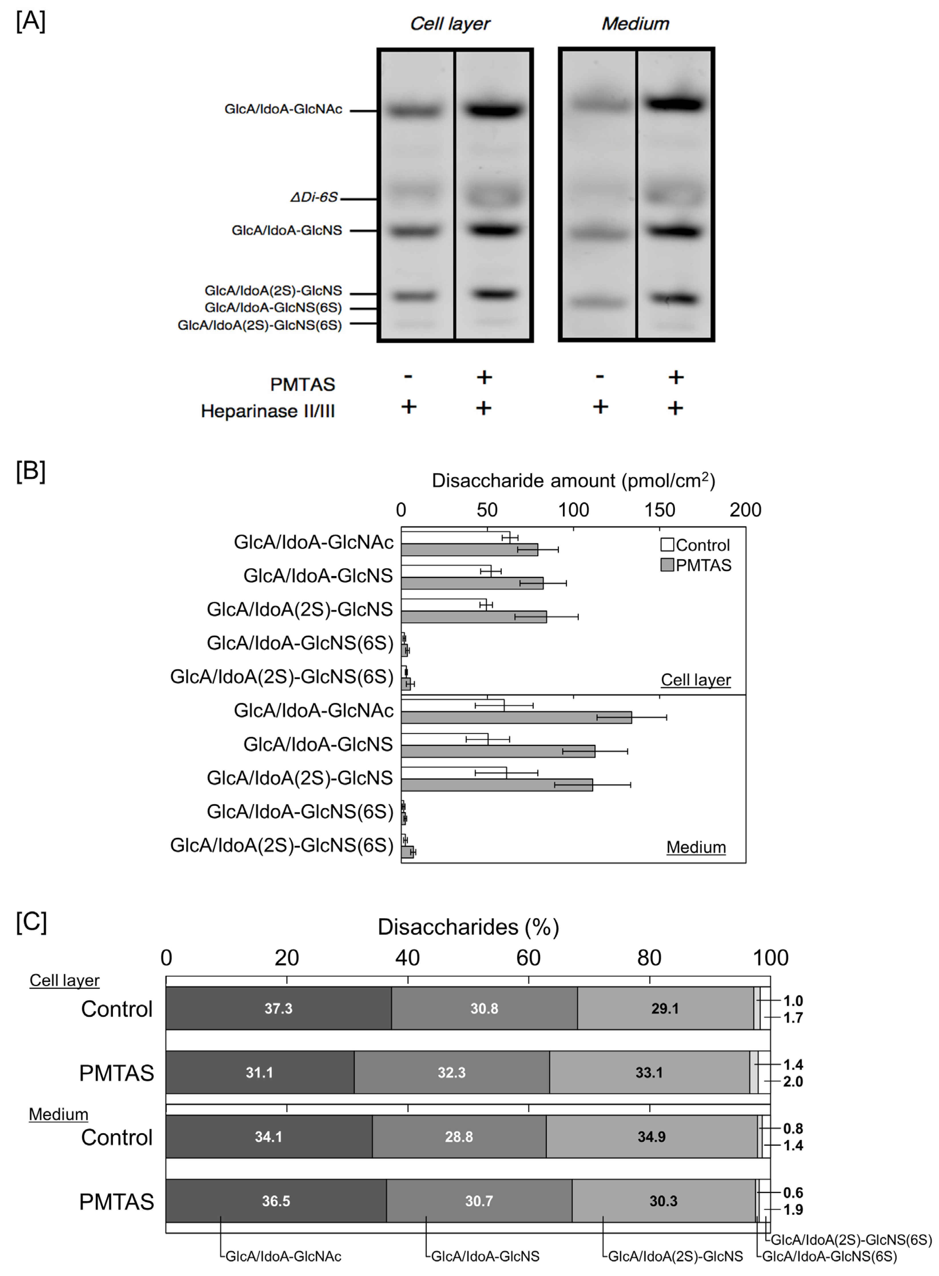 Ijms 24 03656 g007 Ijms 24 03656 g007