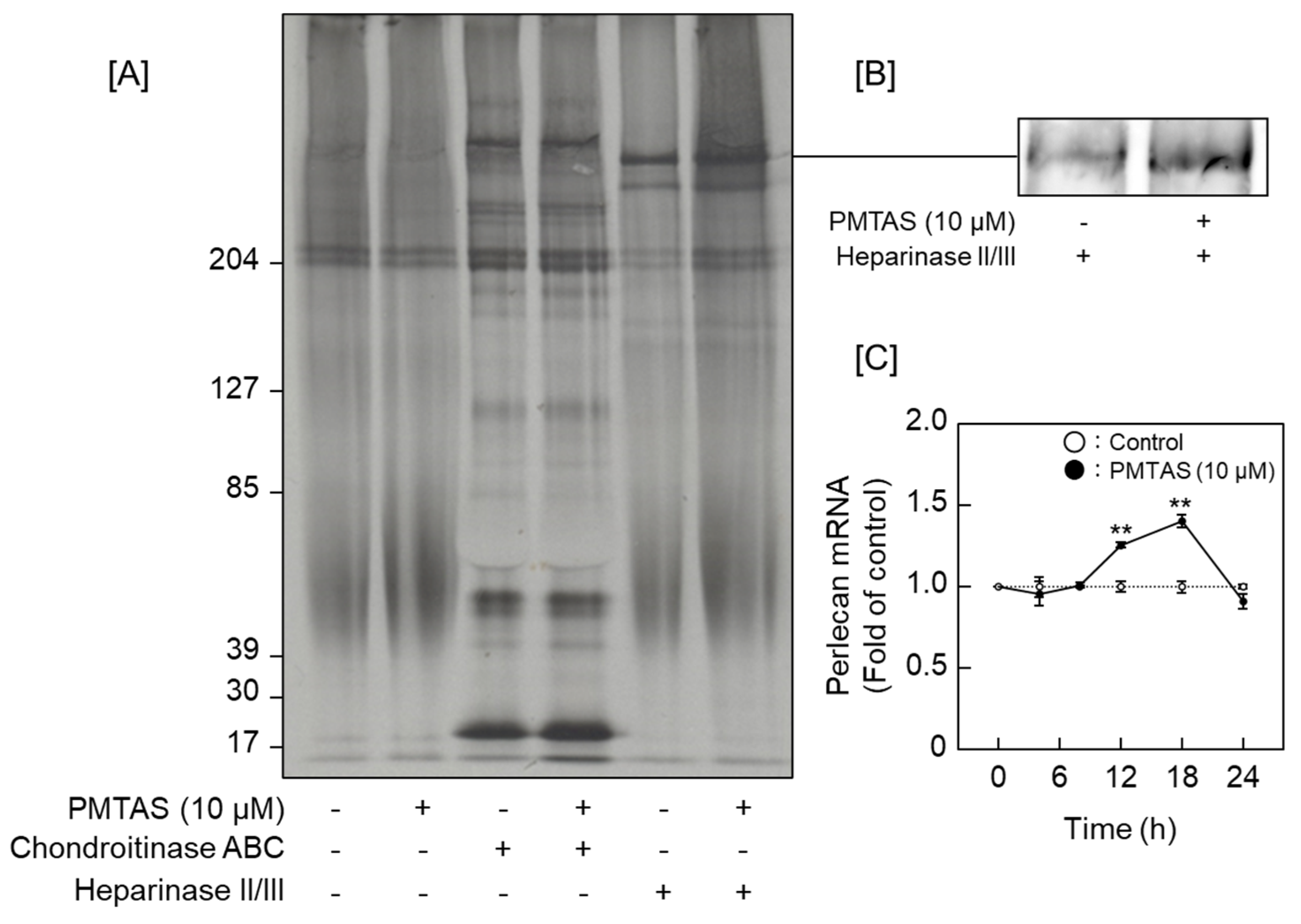 Ijms 24 03656 g008 Ijms 24 03656 g008