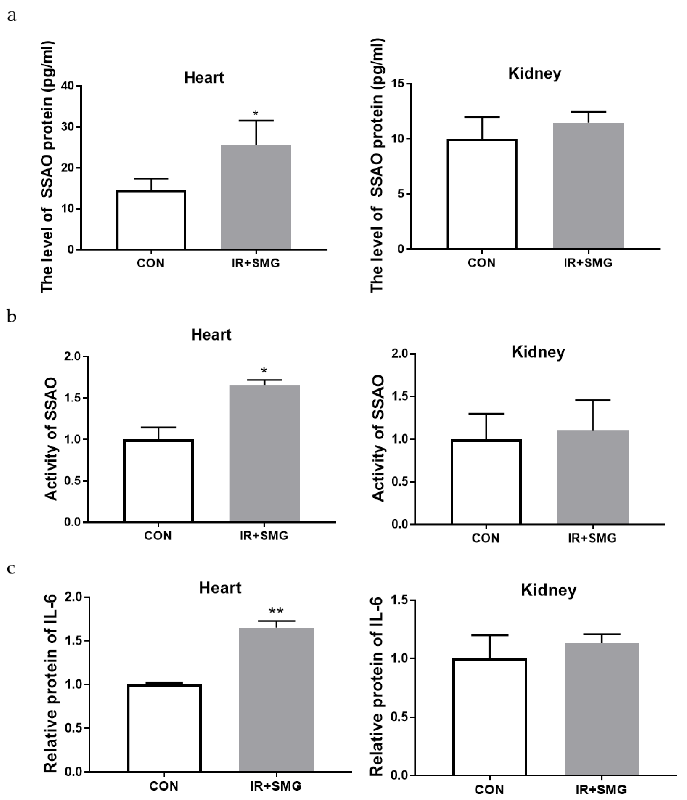 Ijms 24 03666 g003 Ijms 24 03666 g003