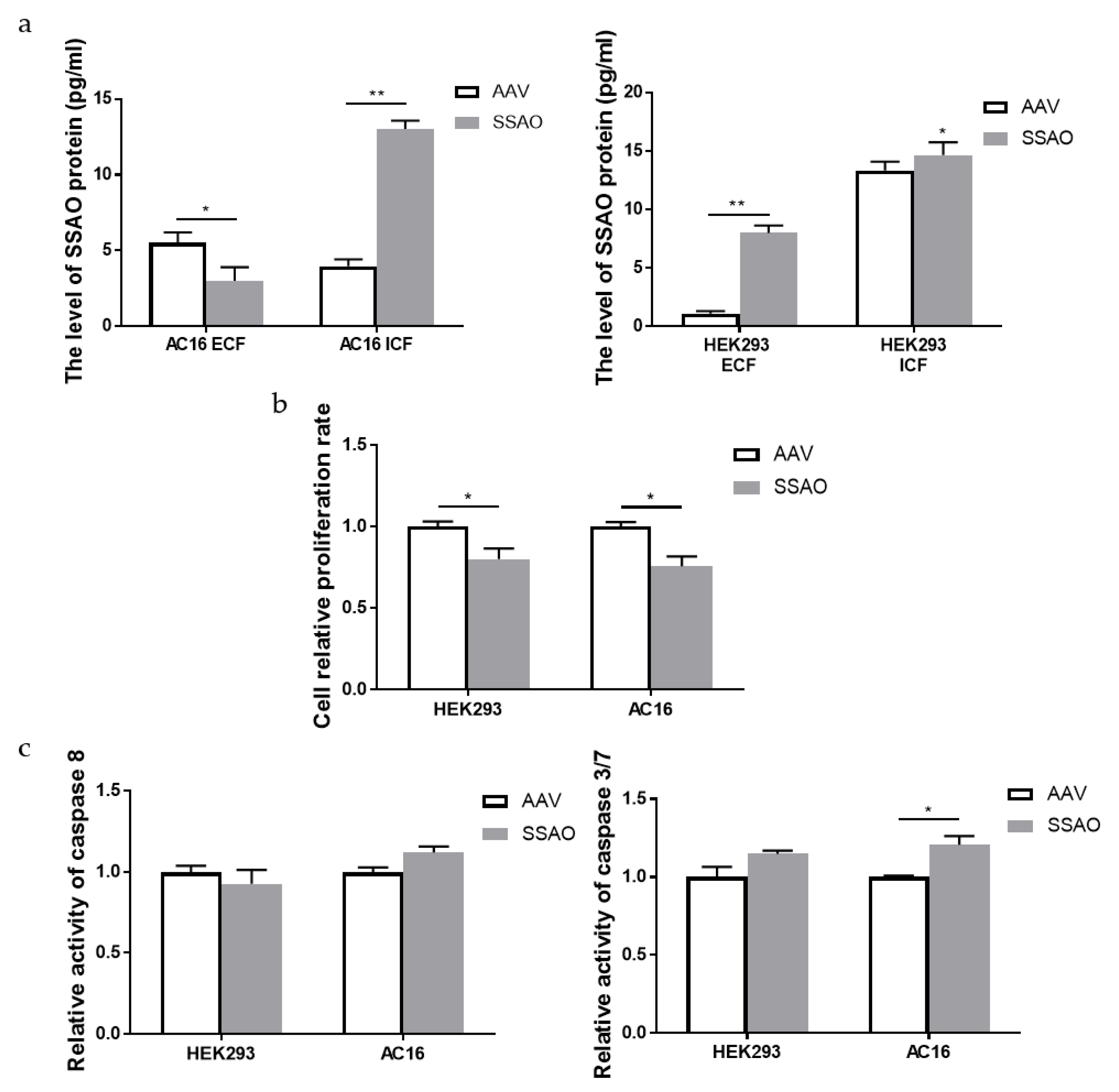 Ijms 24 03666 g004 Ijms 24 03666 g004