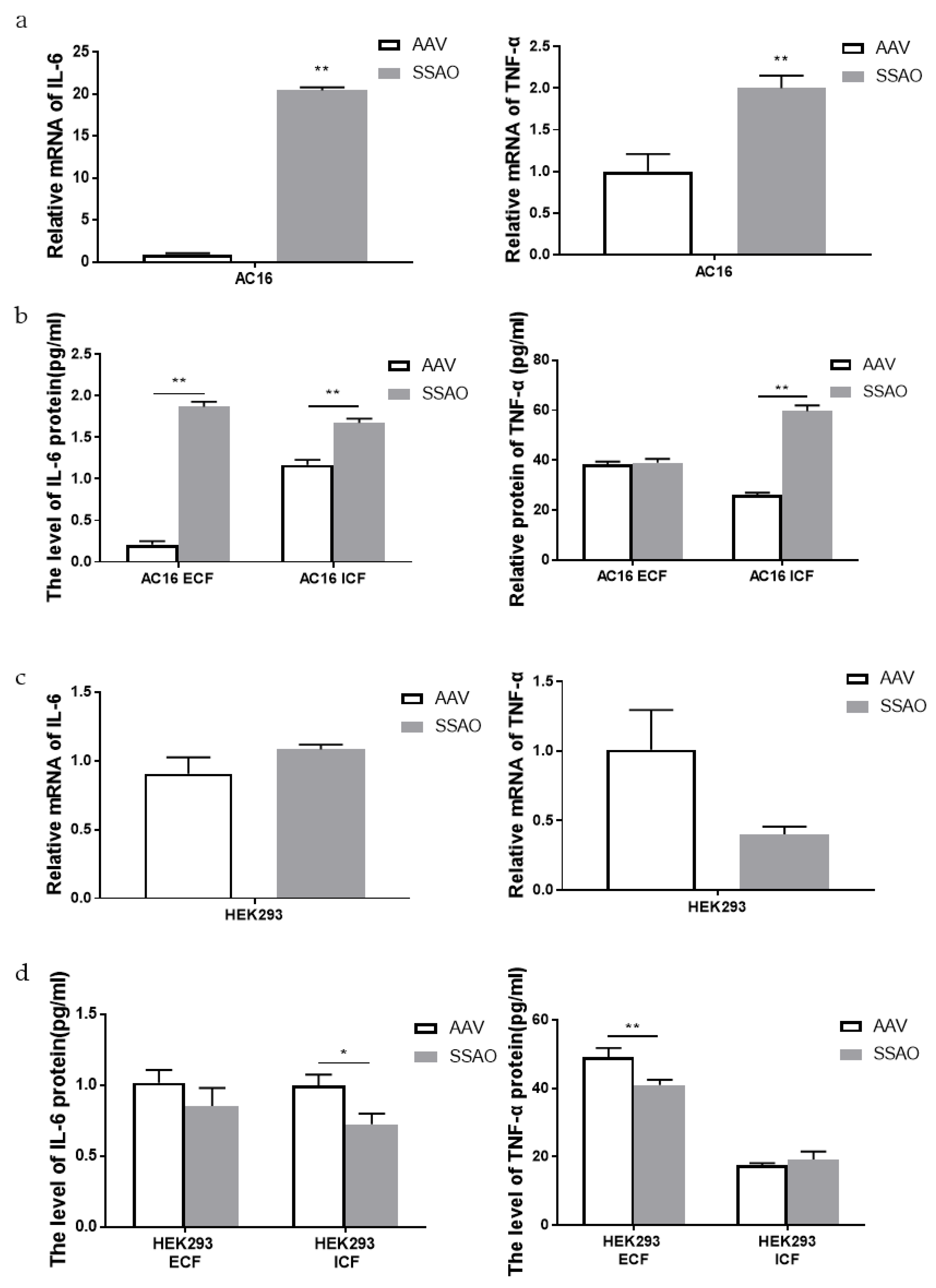 Ijms 24 03666 g005 Ijms 24 03666 g005