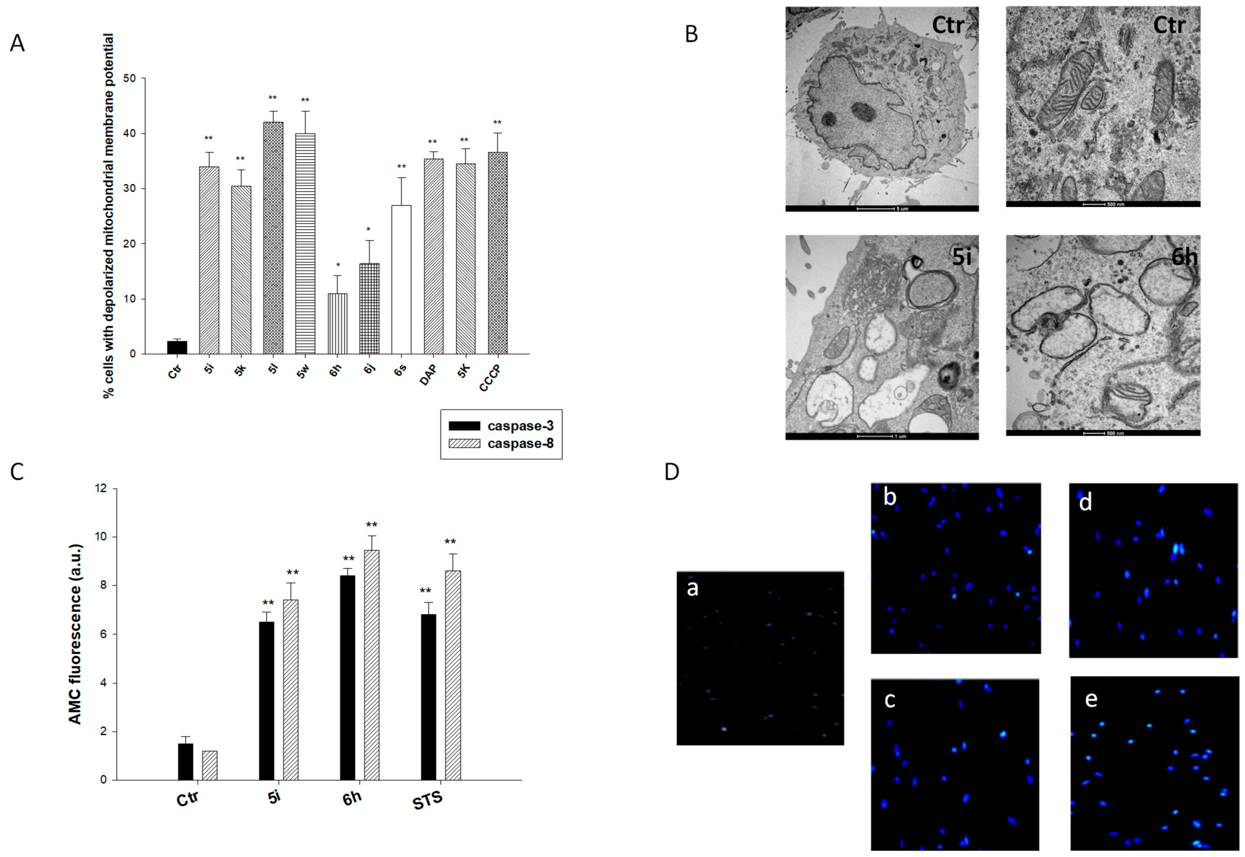 Ijms 24 03679 g010 Ijms 24 03679 g010