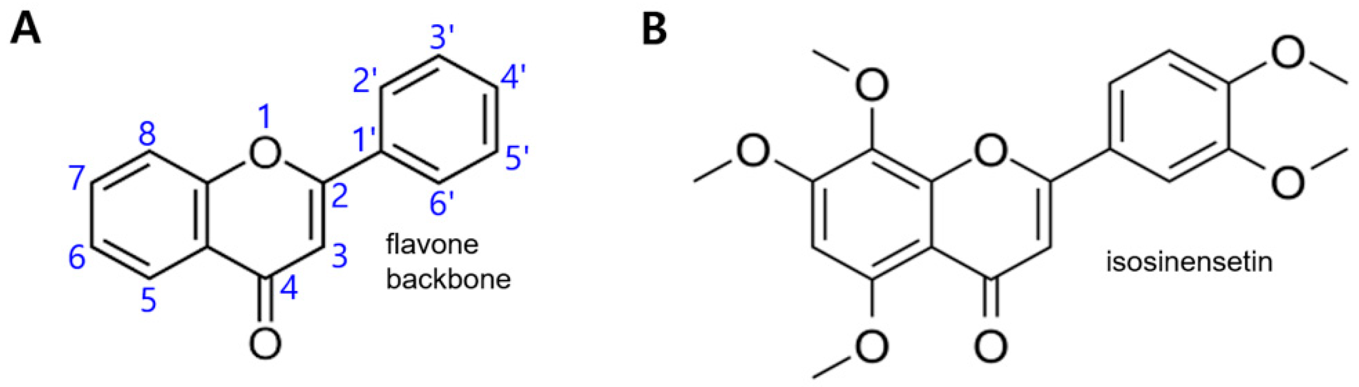 Ijms 24 03682 g001 Ijms 24 03682 g001