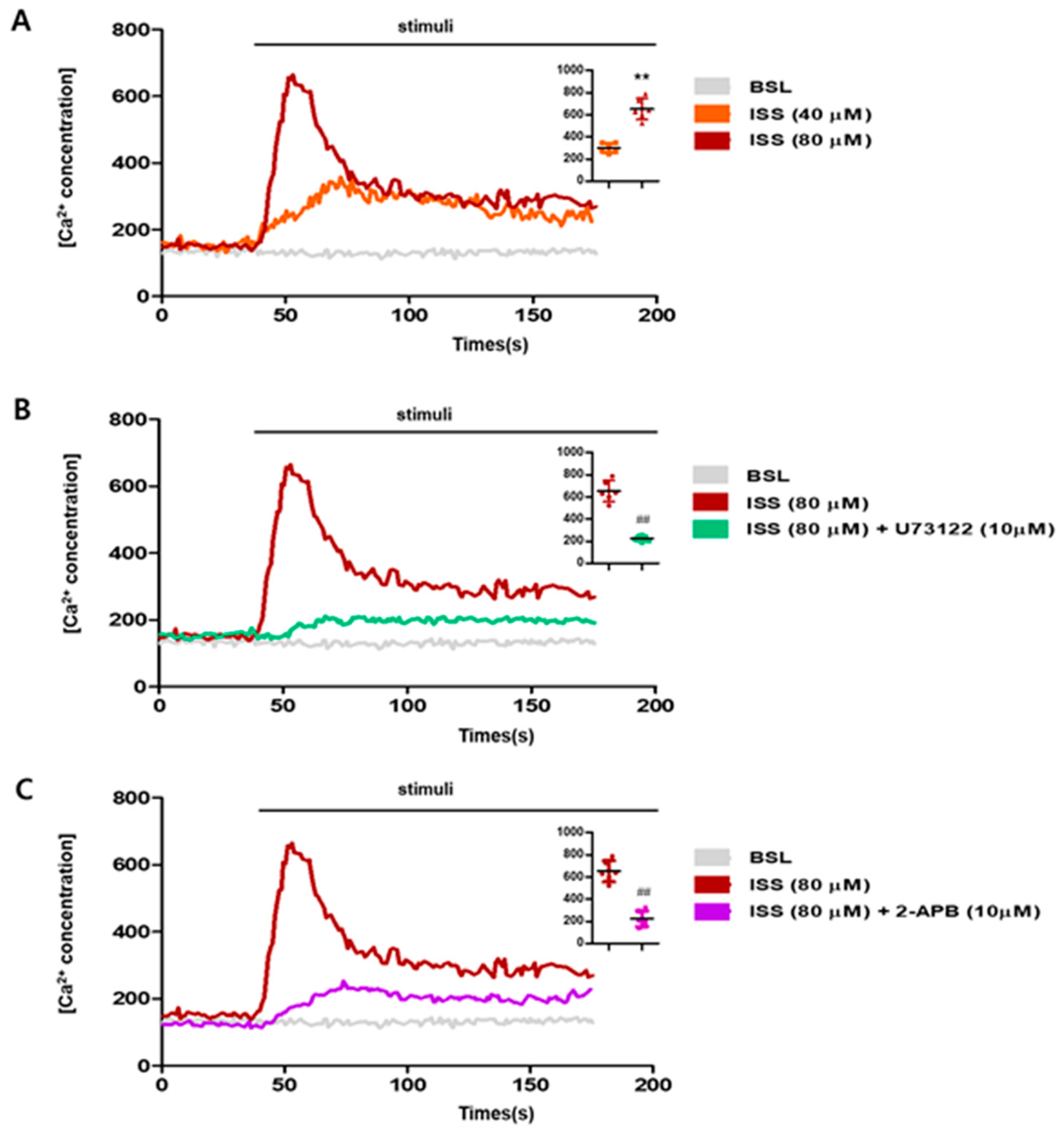 Ijms 24 03682 g002 Ijms 24 03682 g002