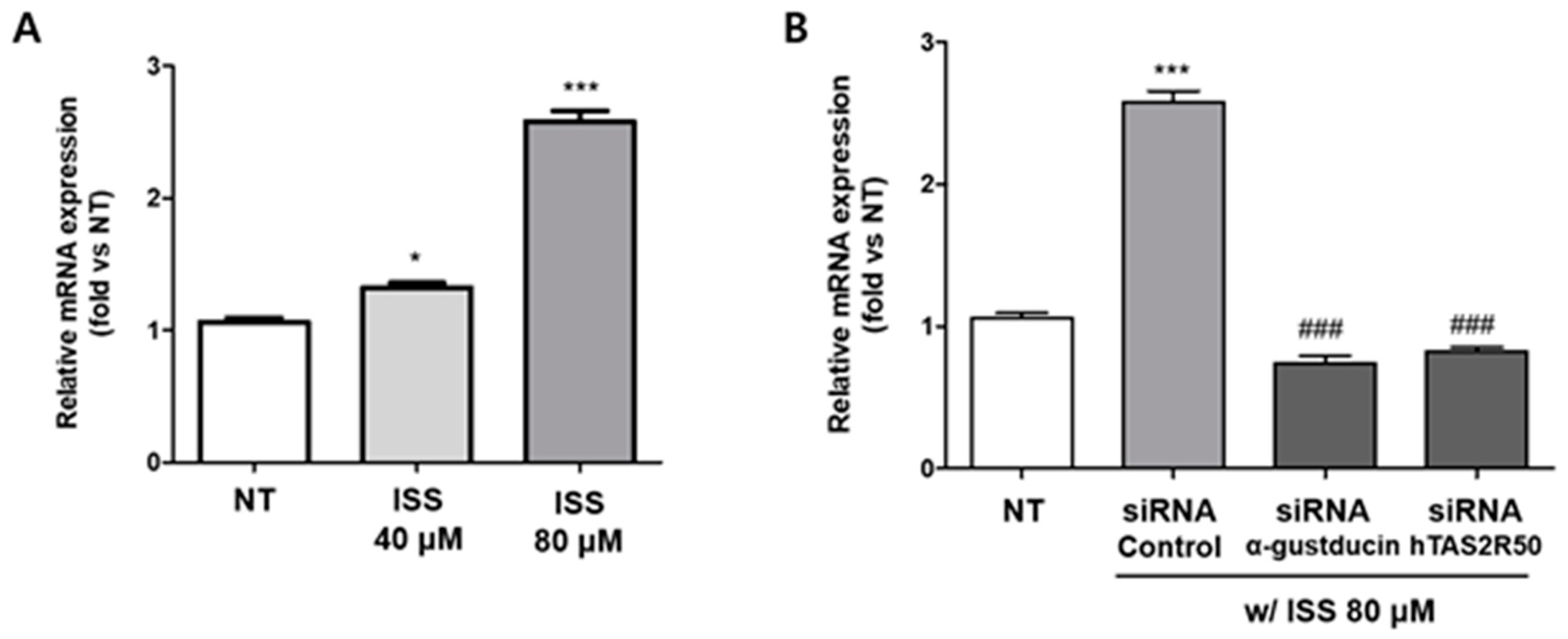 Ijms 24 03682 g005 Ijms 24 03682 g005