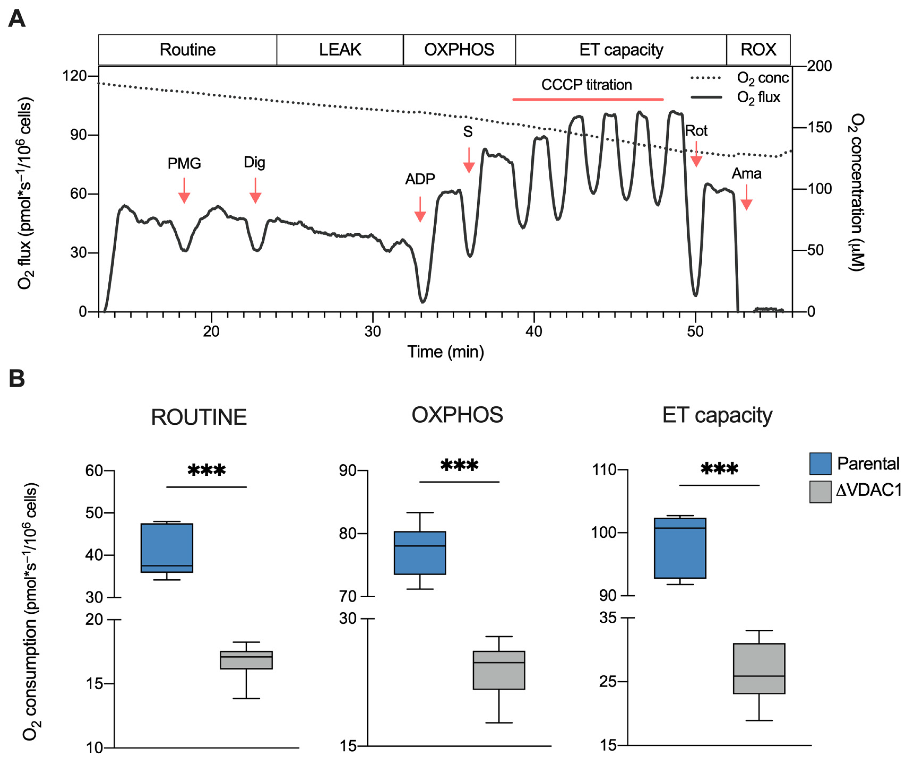 Ijms 24 03687 g002 Ijms 24 03687 g002