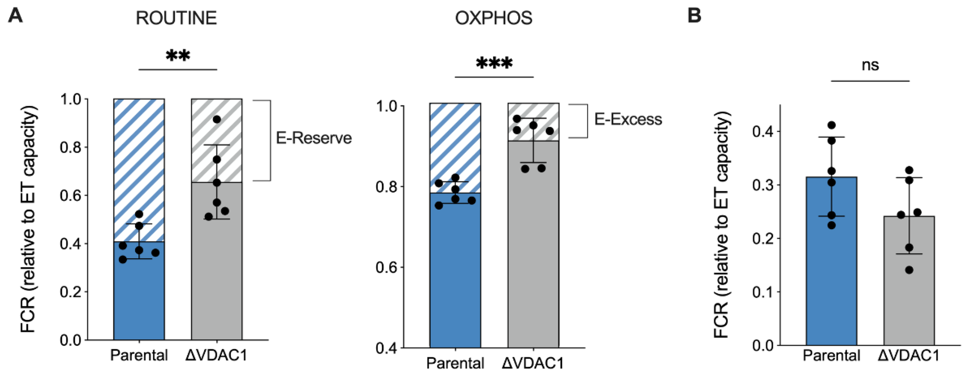 Ijms 24 03687 g004 Ijms 24 03687 g004