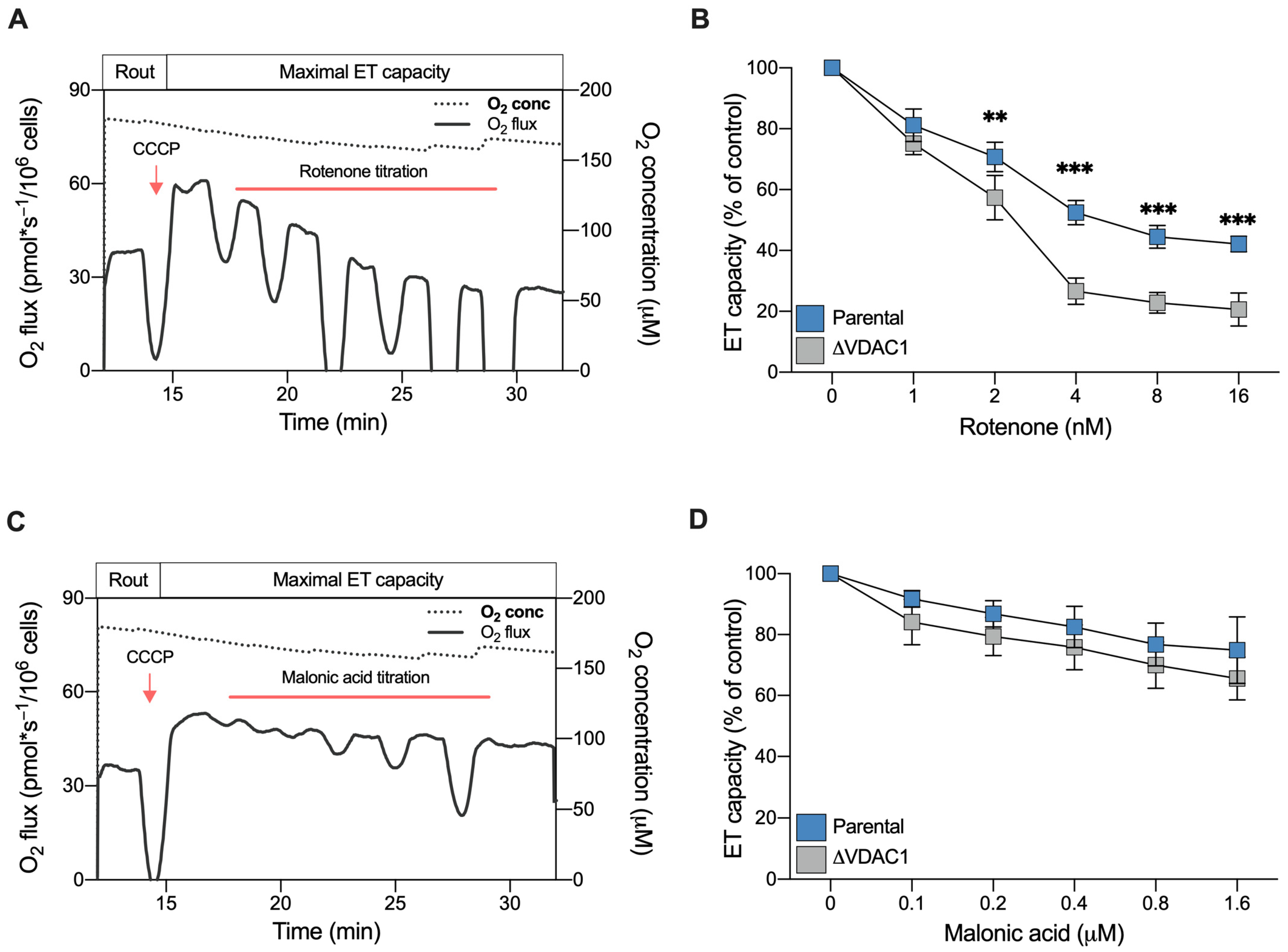 Ijms 24 03687 g007 Ijms 24 03687 g007