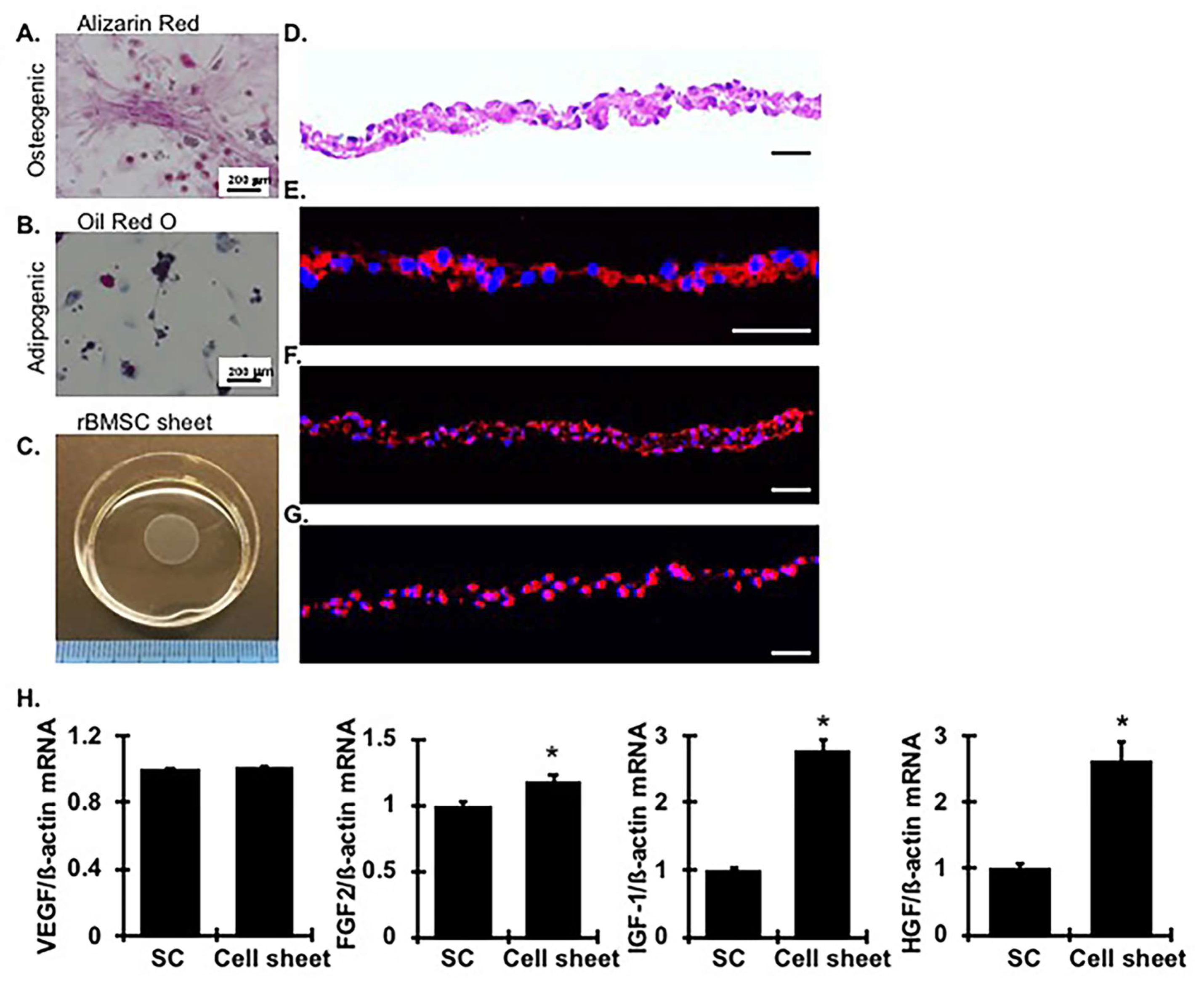 Ijms 24 03711 g001 Ijms 24 03711 g001