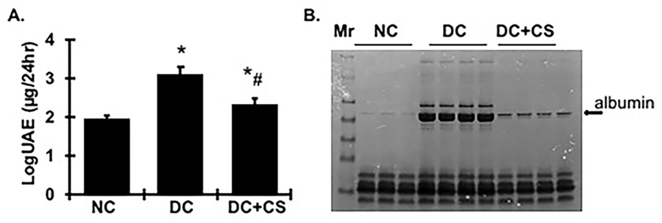 Ijms 24 03711 g003 Ijms 24 03711 g003