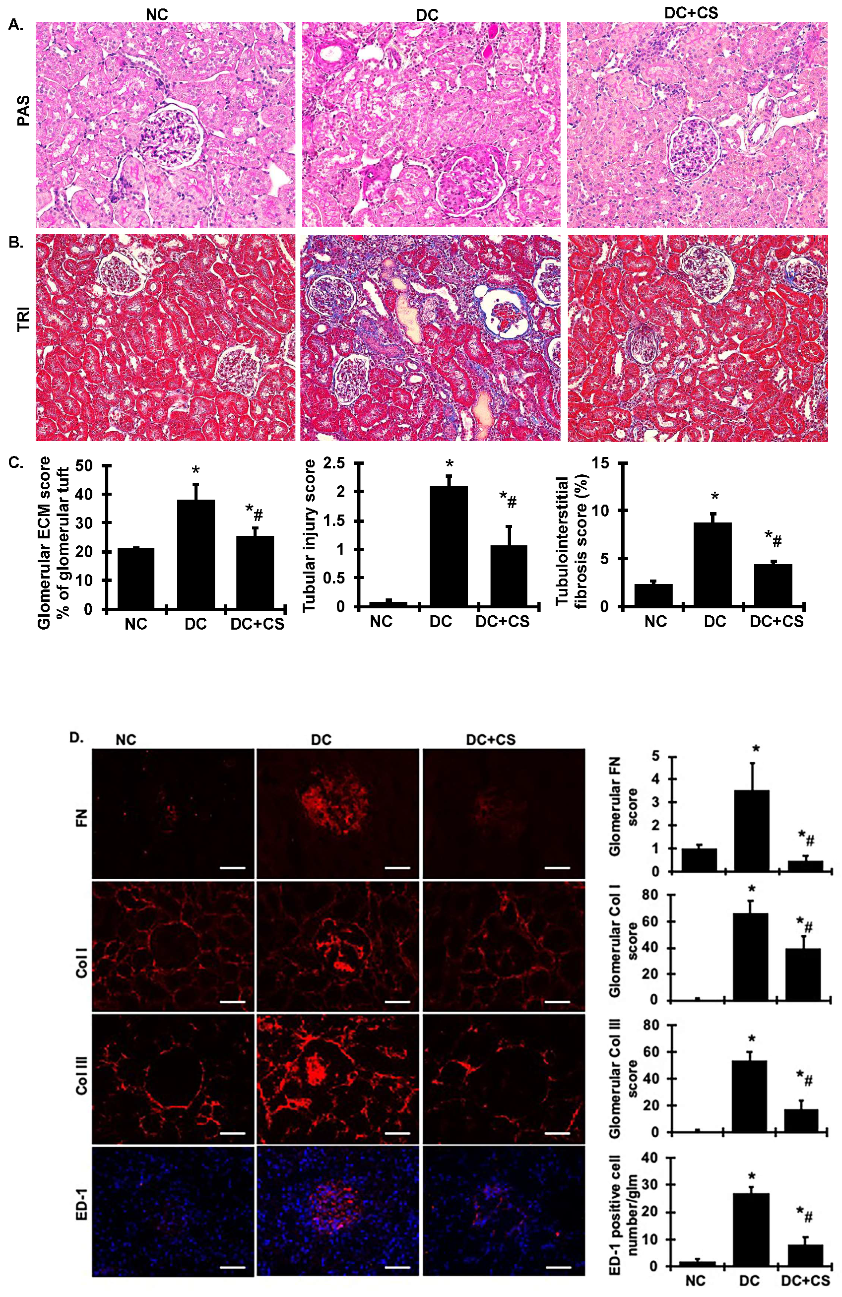 Ijms 24 03711 g004 Ijms 24 03711 g004