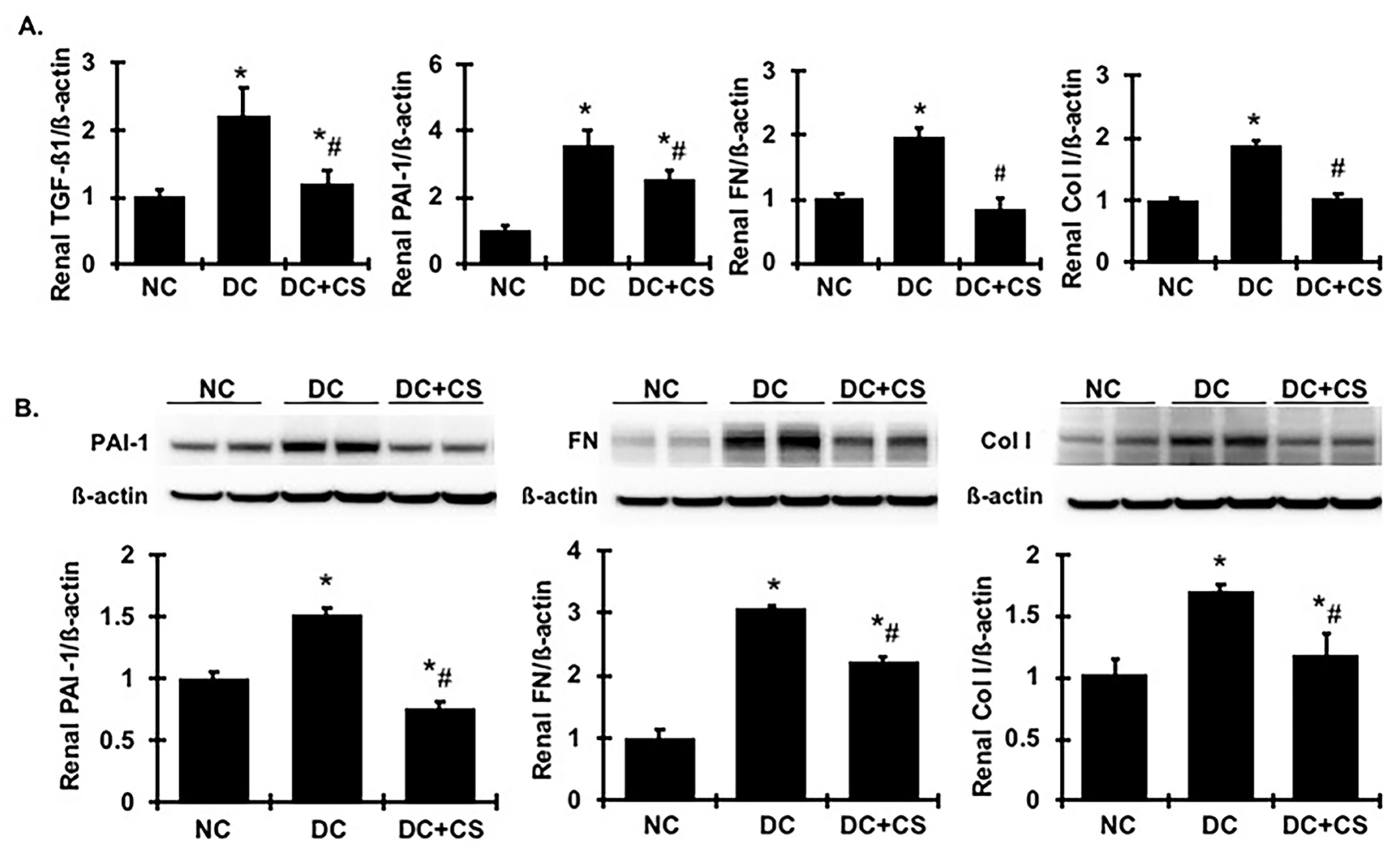 Ijms 24 03711 g005 Ijms 24 03711 g005