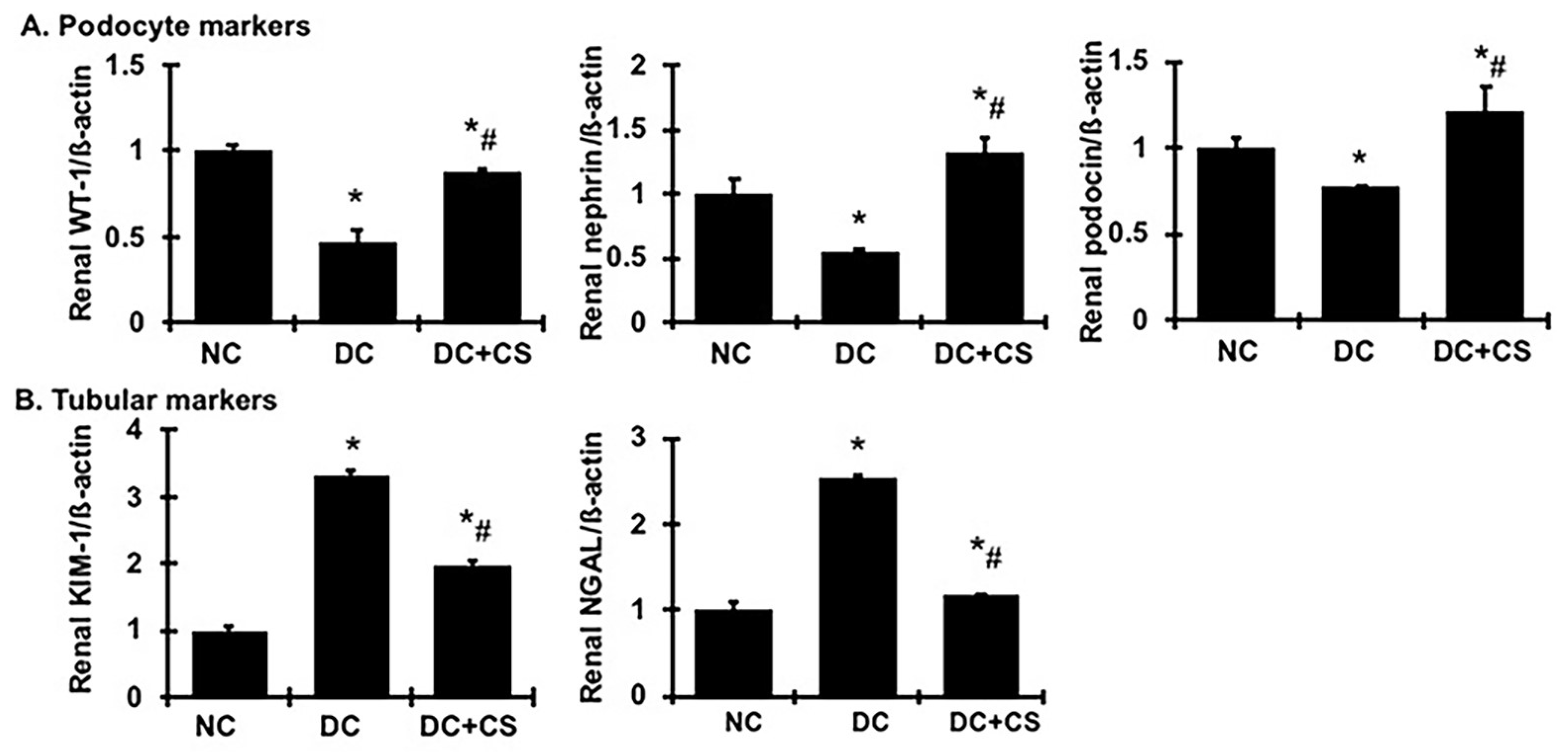 Ijms 24 03711 g006 Ijms 24 03711 g006