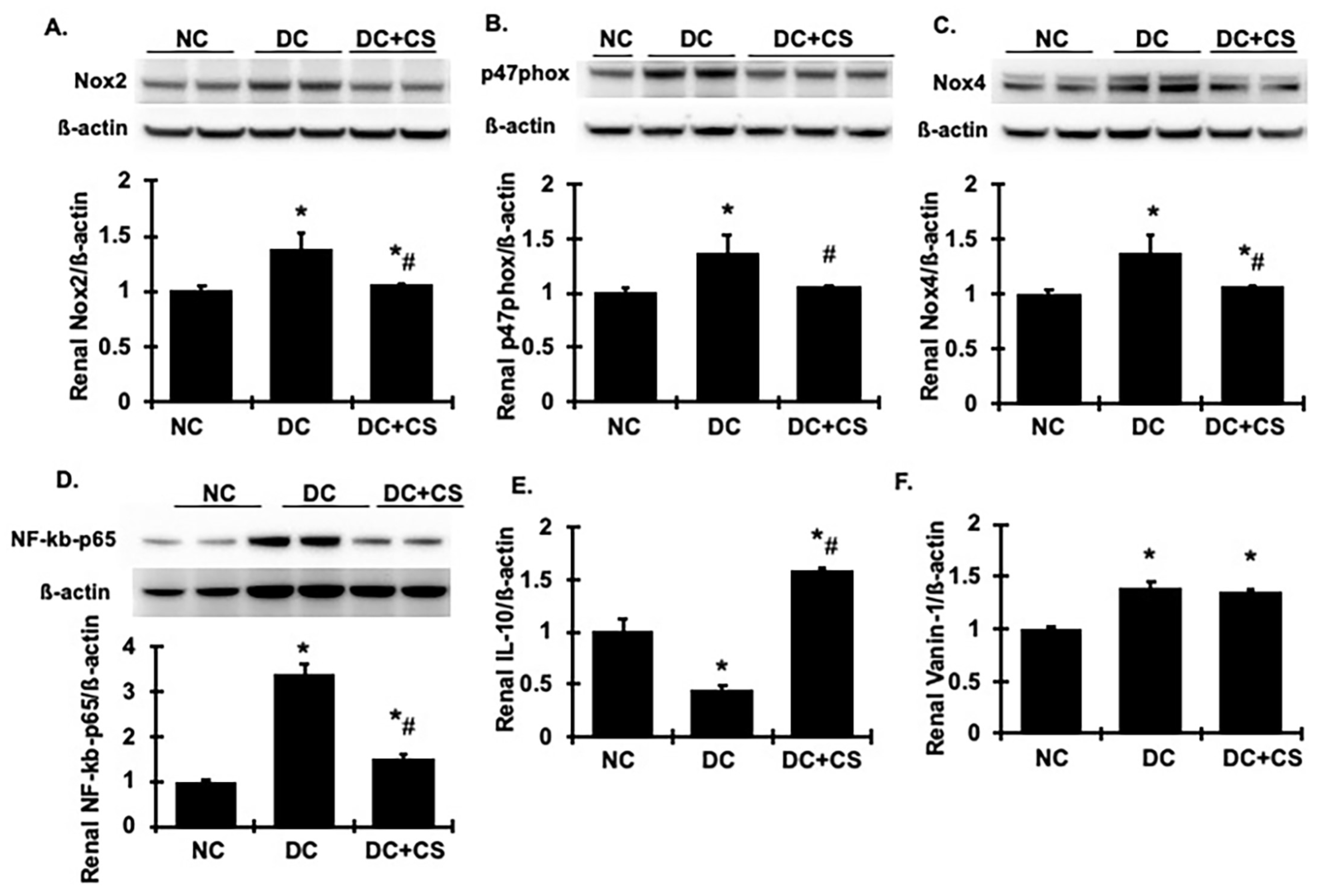 Ijms 24 03711 g007 Ijms 24 03711 g007