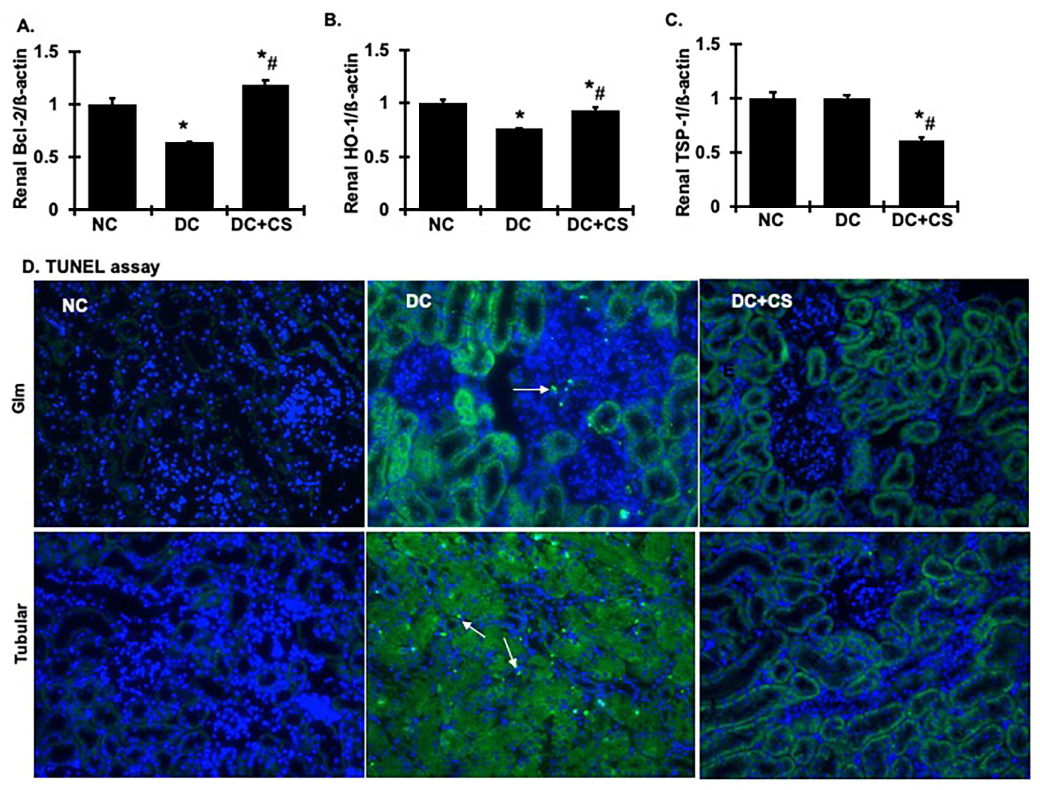 Ijms 24 03711 g008 Ijms 24 03711 g008