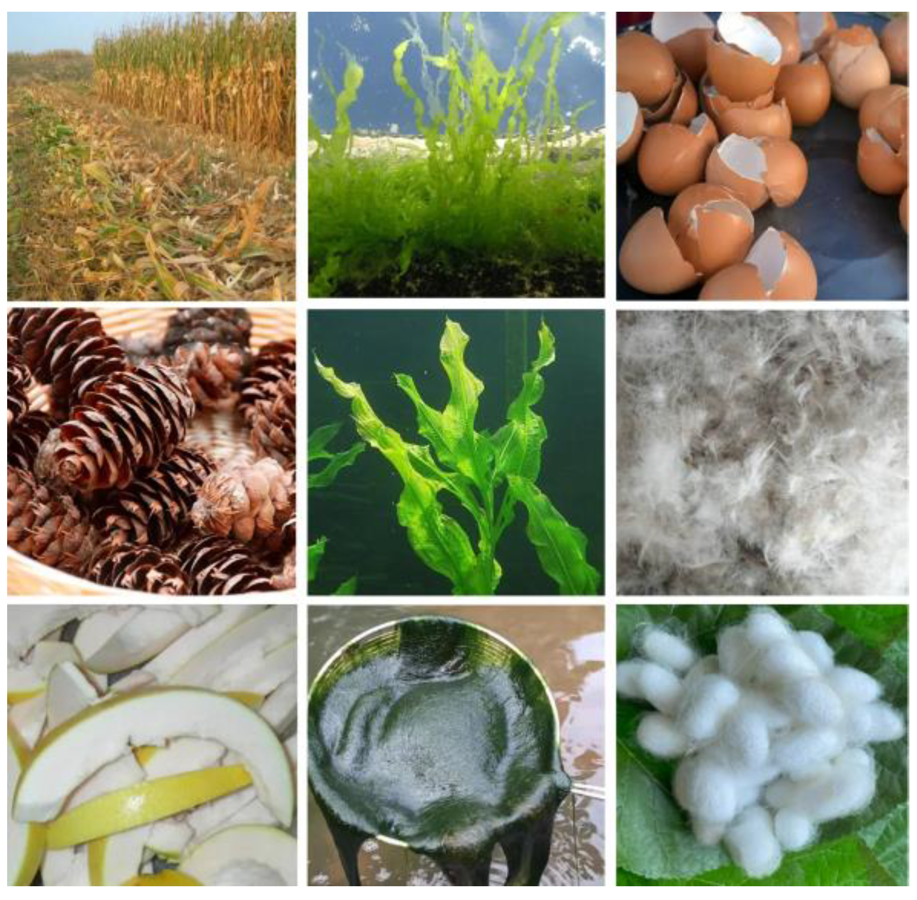 Ijms 24 03713 g002 Ijms 24 03713 g002