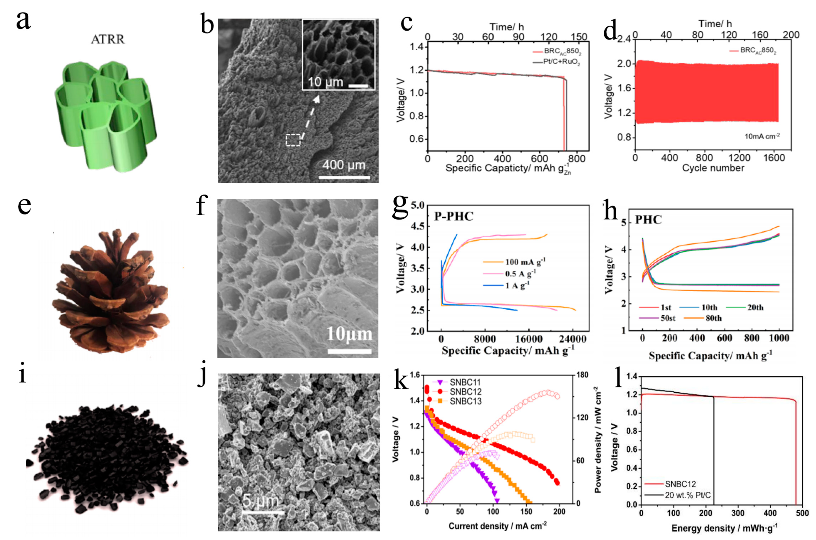 Ijms 24 03713 g004 Ijms 24 03713 g004