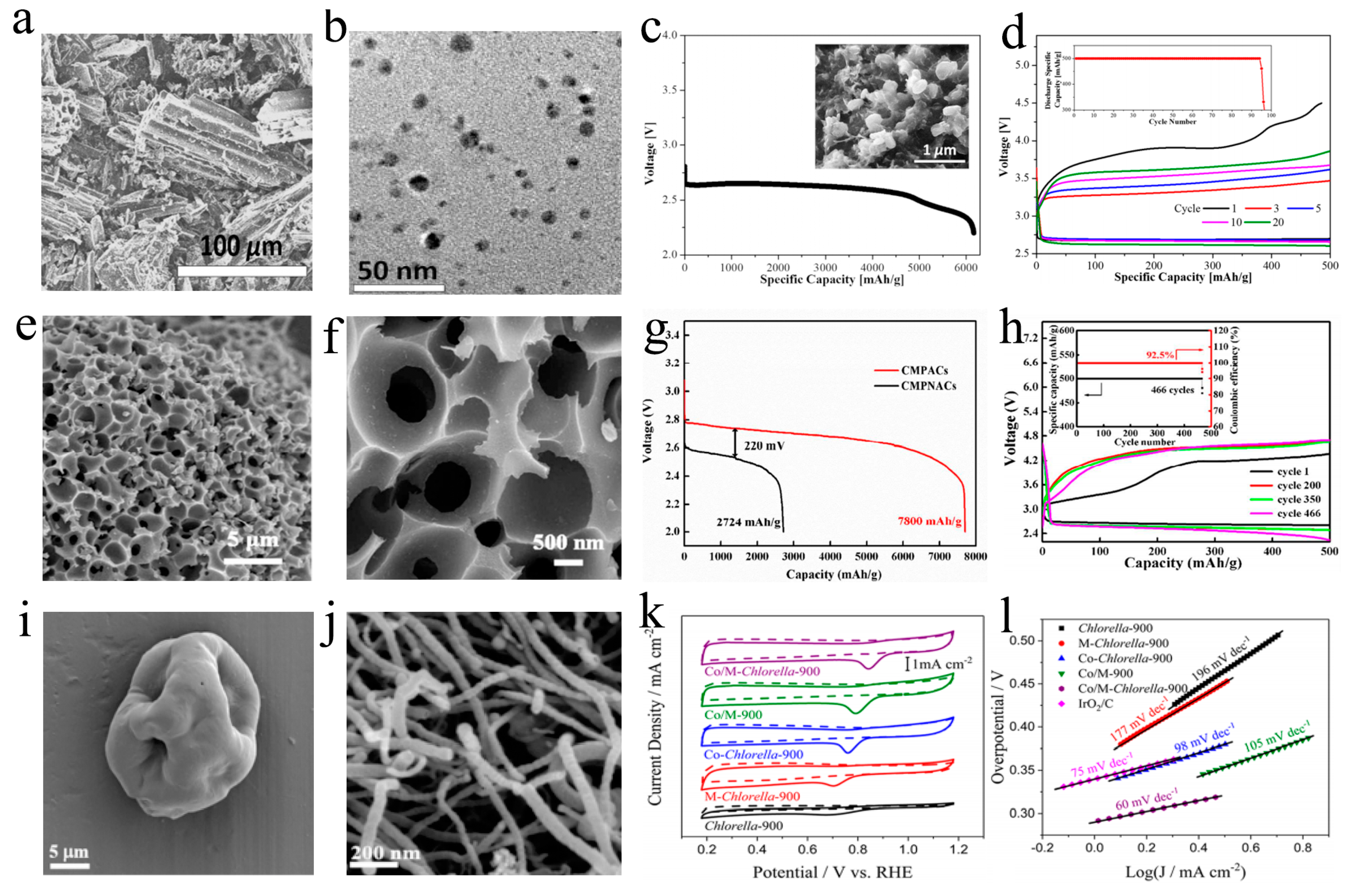 Ijms 24 03713 g005 Ijms 24 03713 g005