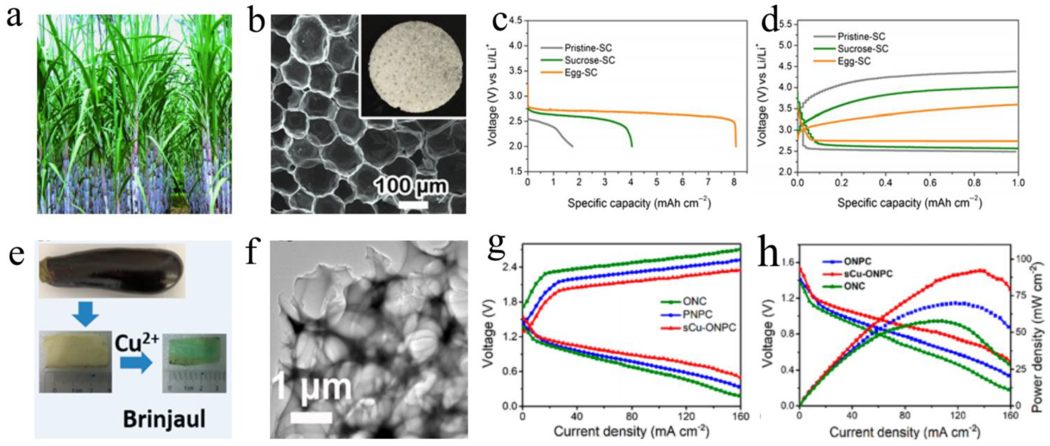 Ijms 24 03713 g006 Ijms 24 03713 g006