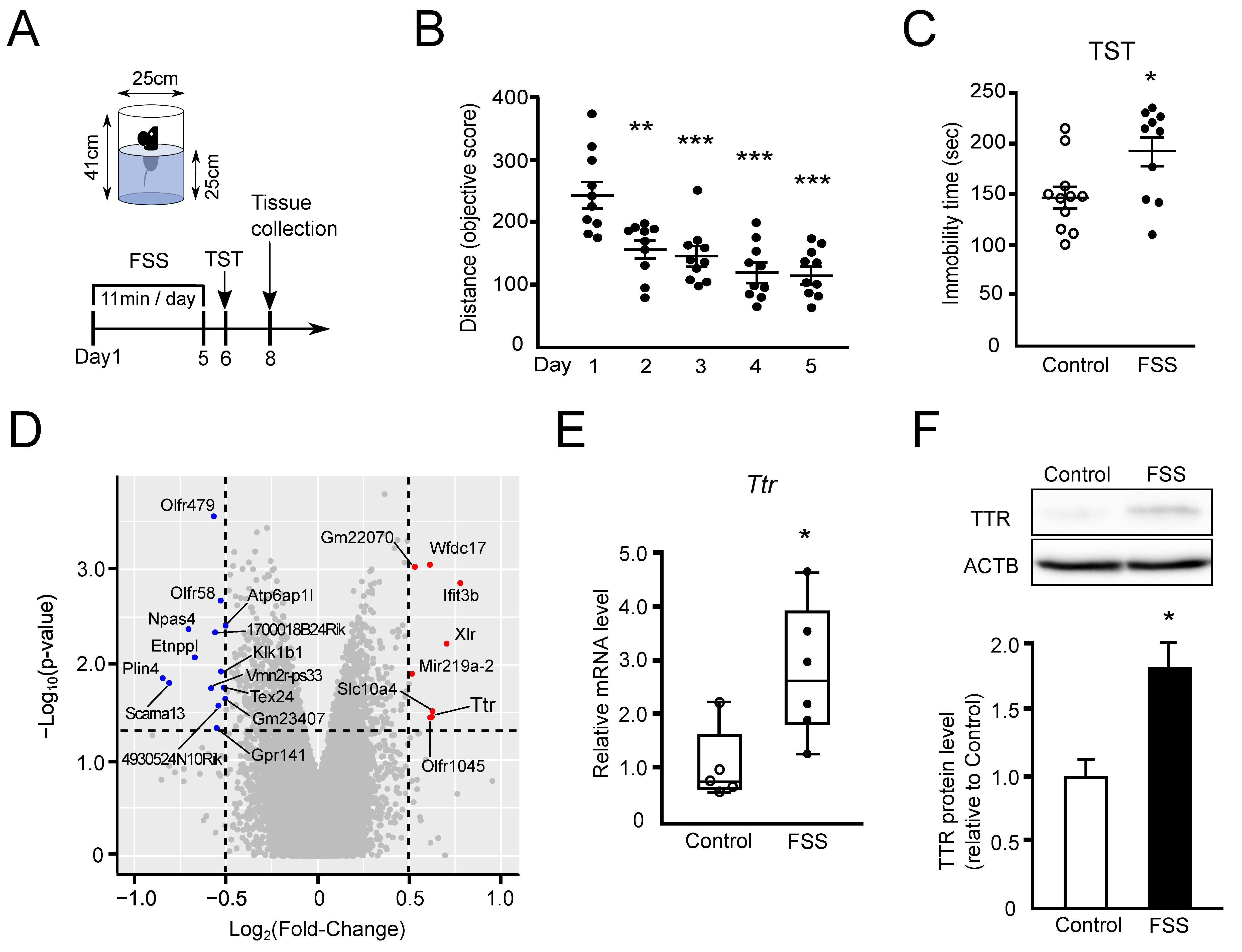 Ijms 24 03736 g001 Ijms 24 03736 g001