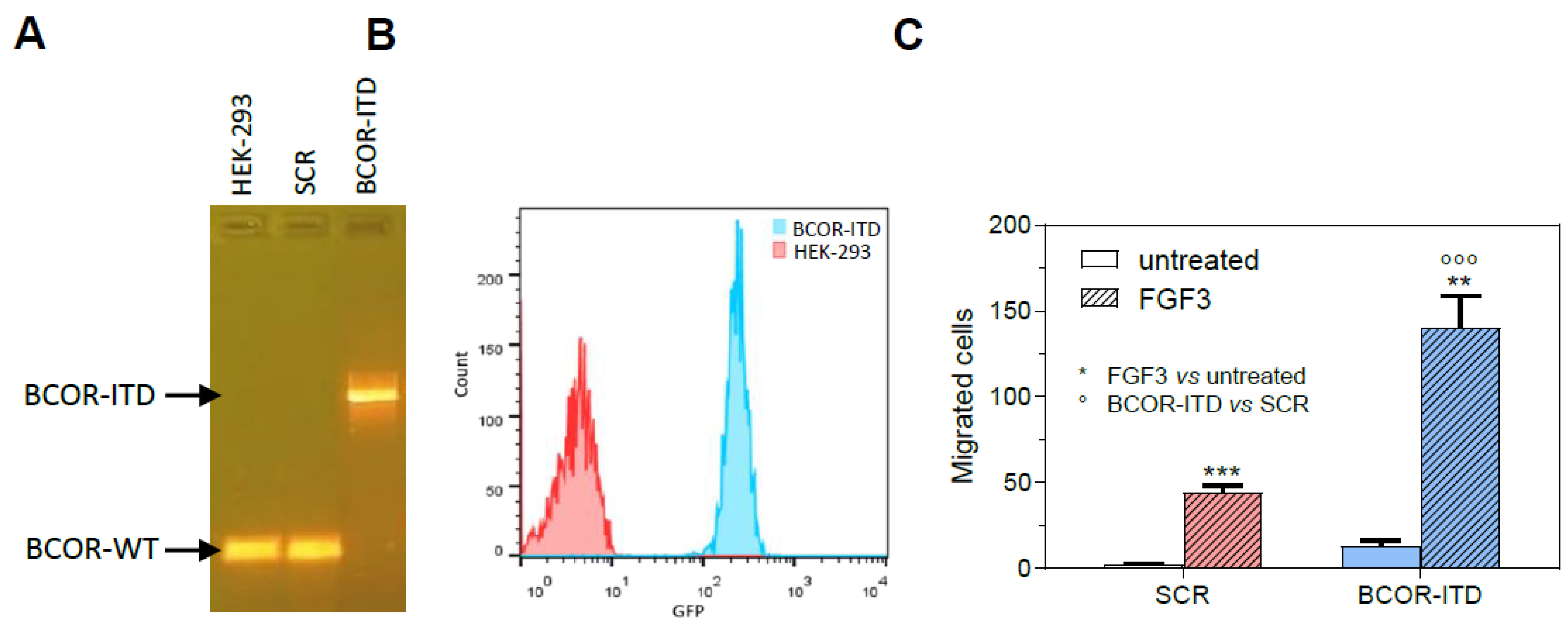 Ijms 24 03743 g003 Ijms 24 03743 g003