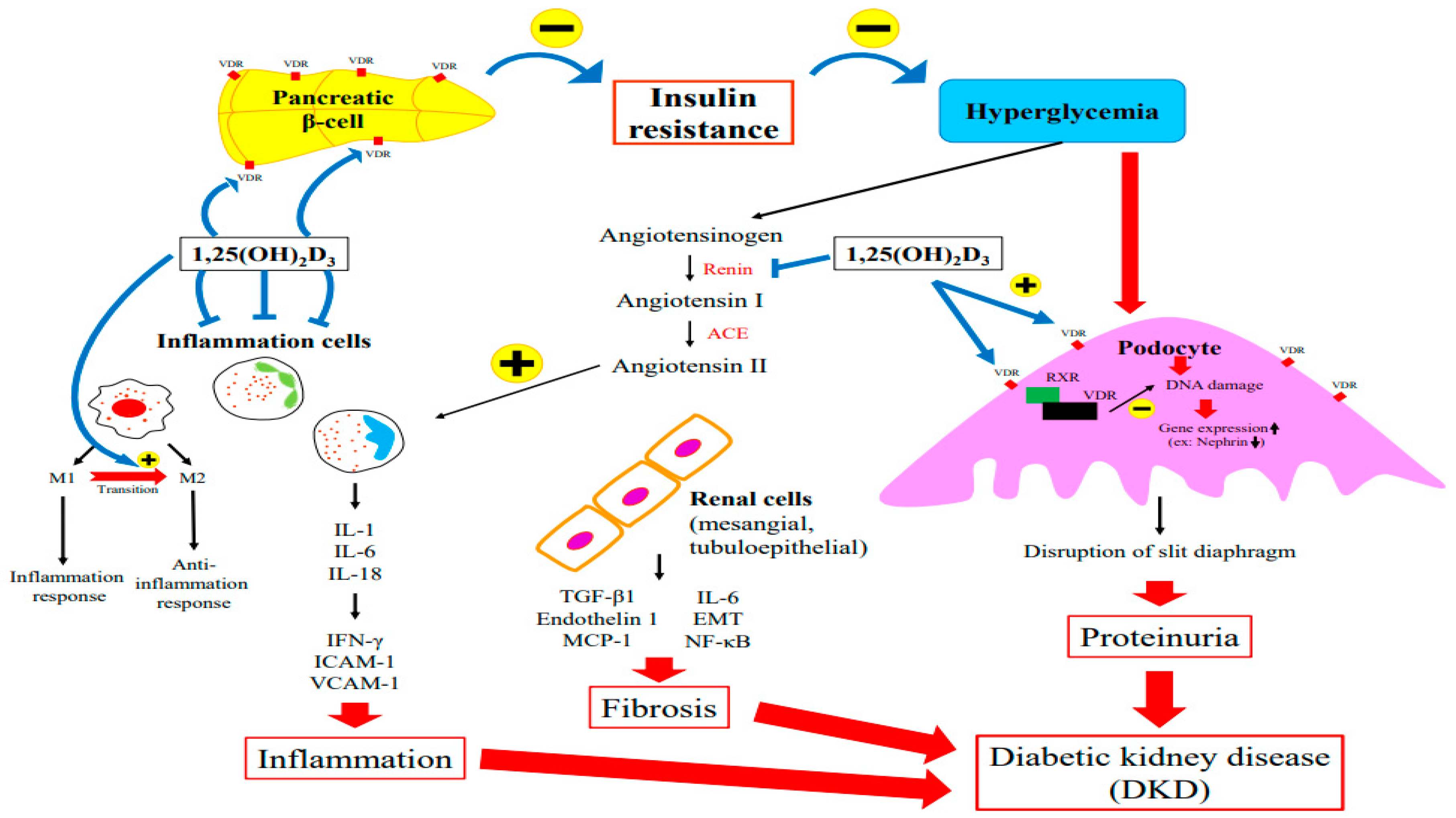 Ijms 24 03751 g002 Ijms 24 03751 g002