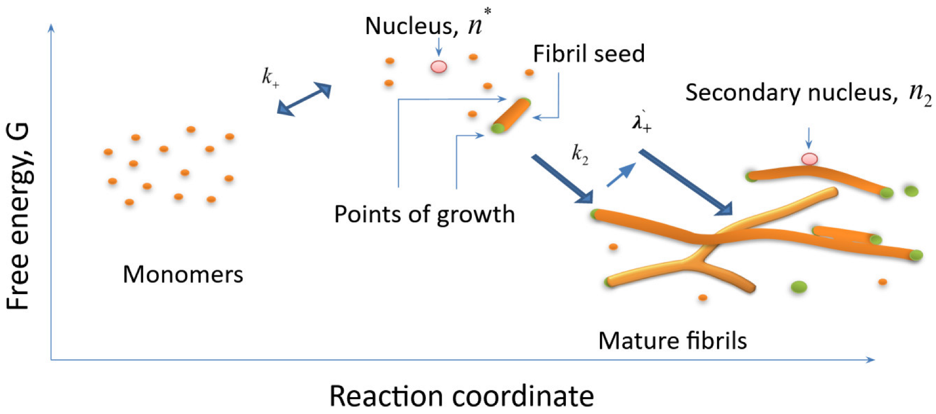 Ijms 24 03781 g002 Ijms 24 03781 g002