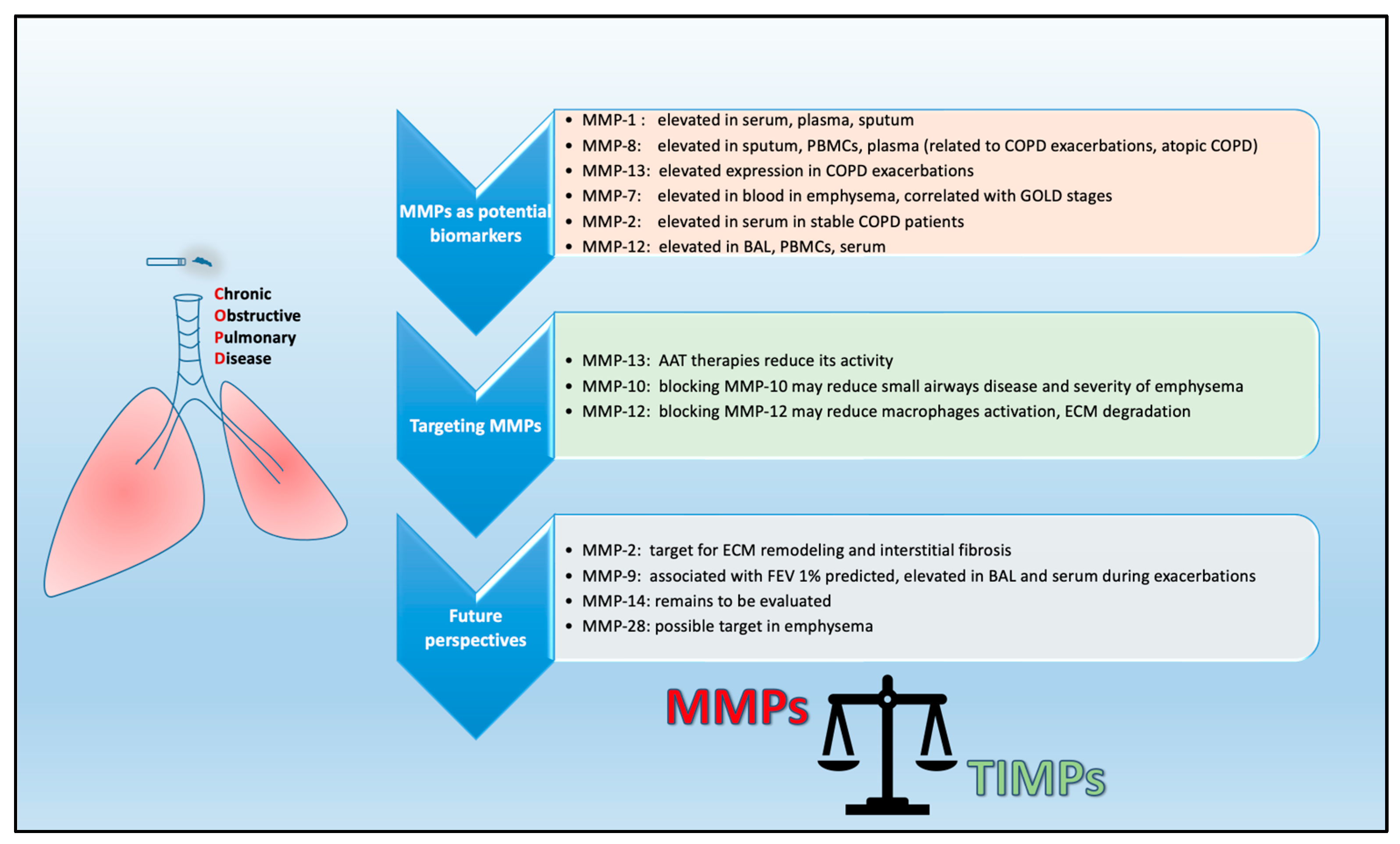 Ijms 24 03786 g003 Ijms 24 03786 g003