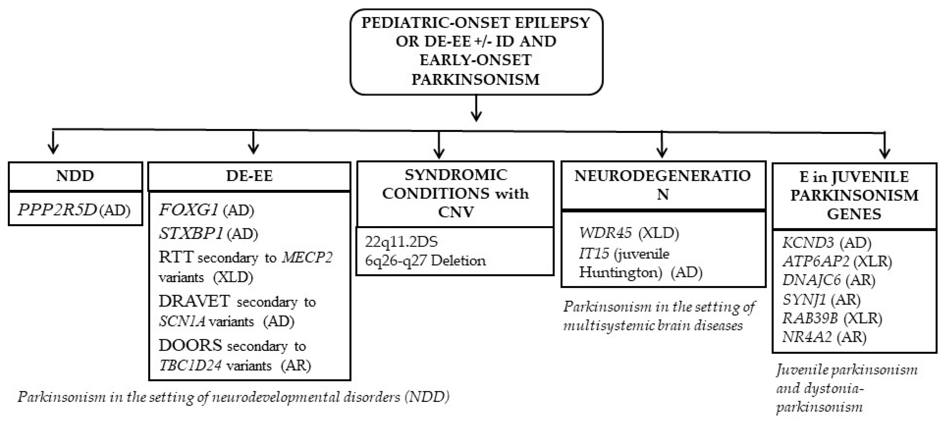 Ijms 24 03796 g003 Ijms 24 03796 g003
