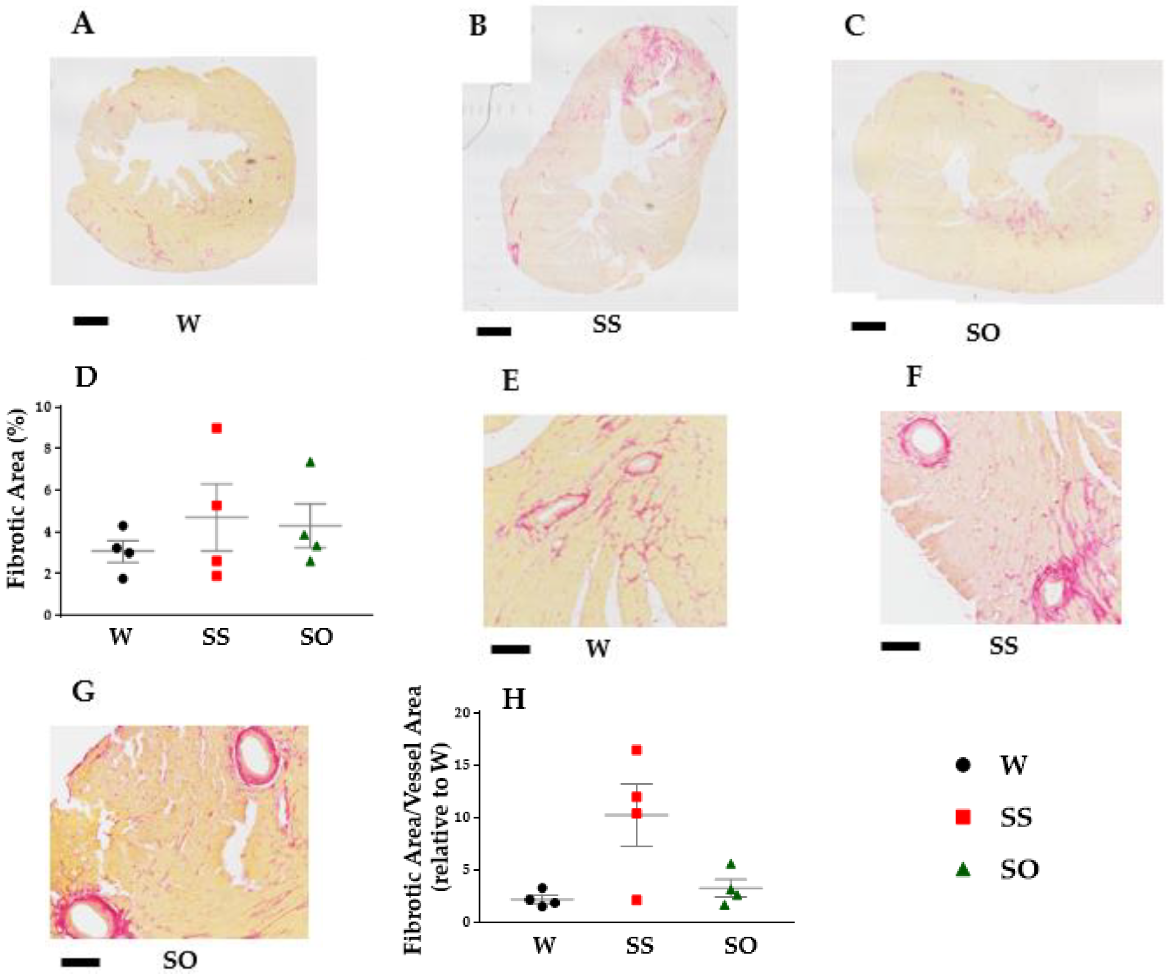 Ijms 24 03835 g004 Ijms 24 03835 g004
