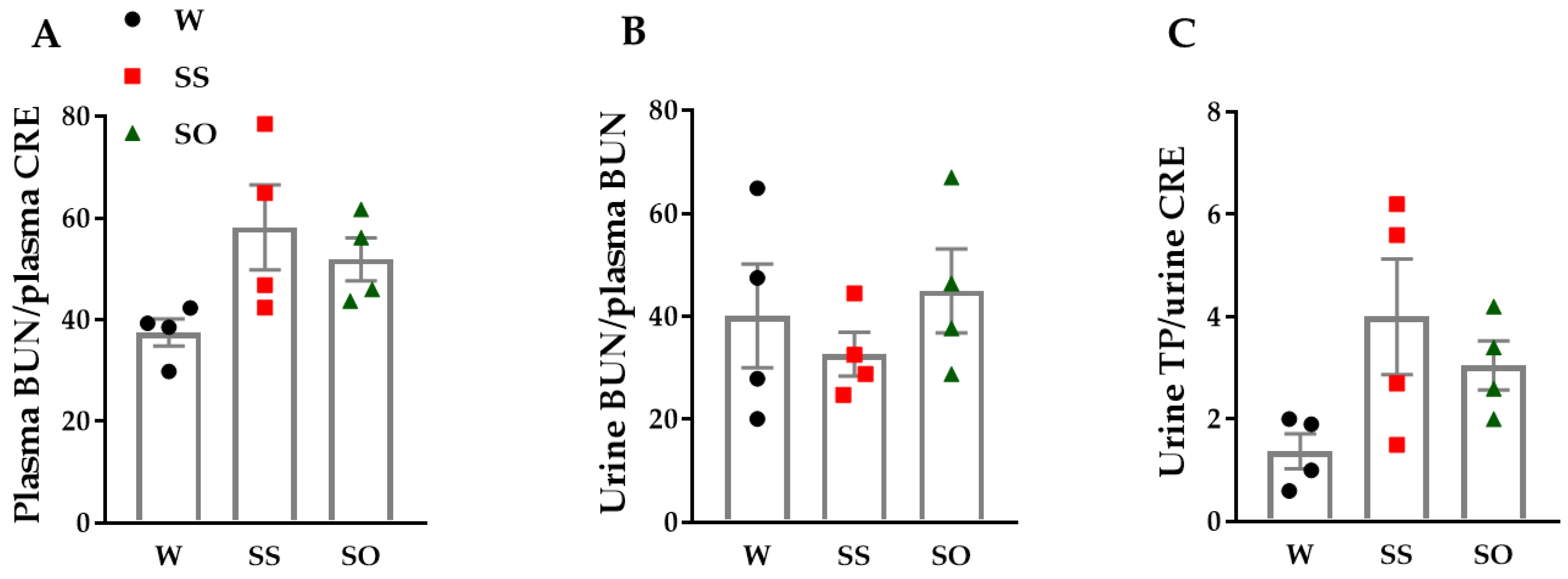 Ijms 24 03835 g006 Ijms 24 03835 g006
