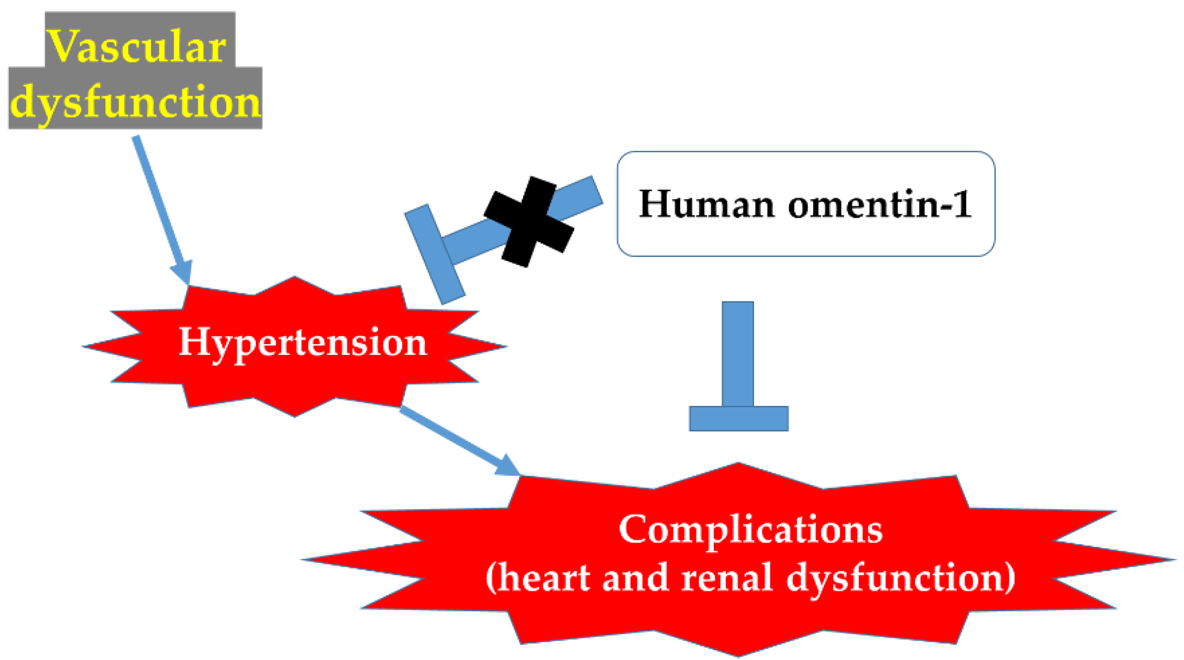 Ijms 24 03835 g007 Ijms 24 03835 g007