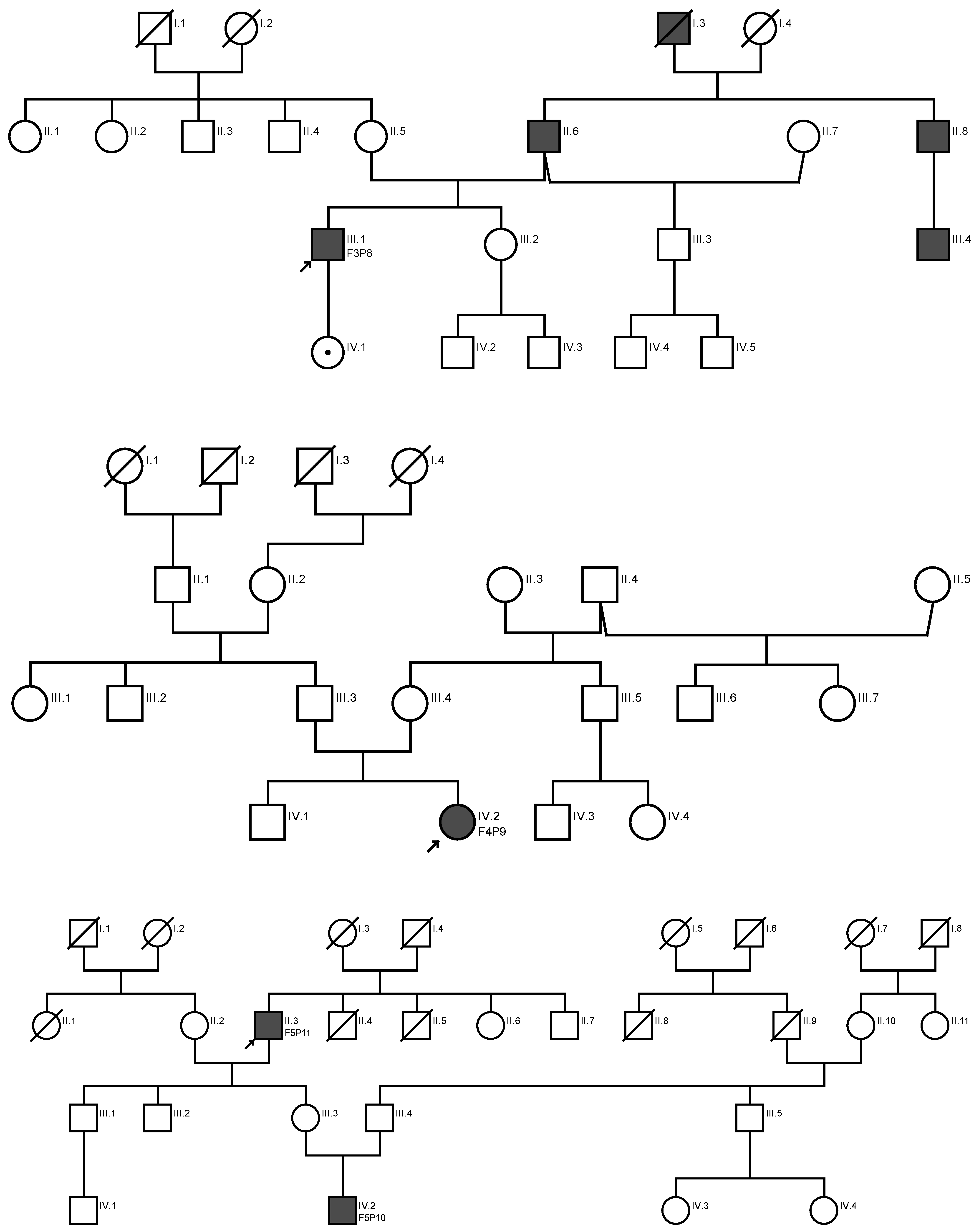 Ijms 24 03840 sch001b Ijms 24 03840 sch001b