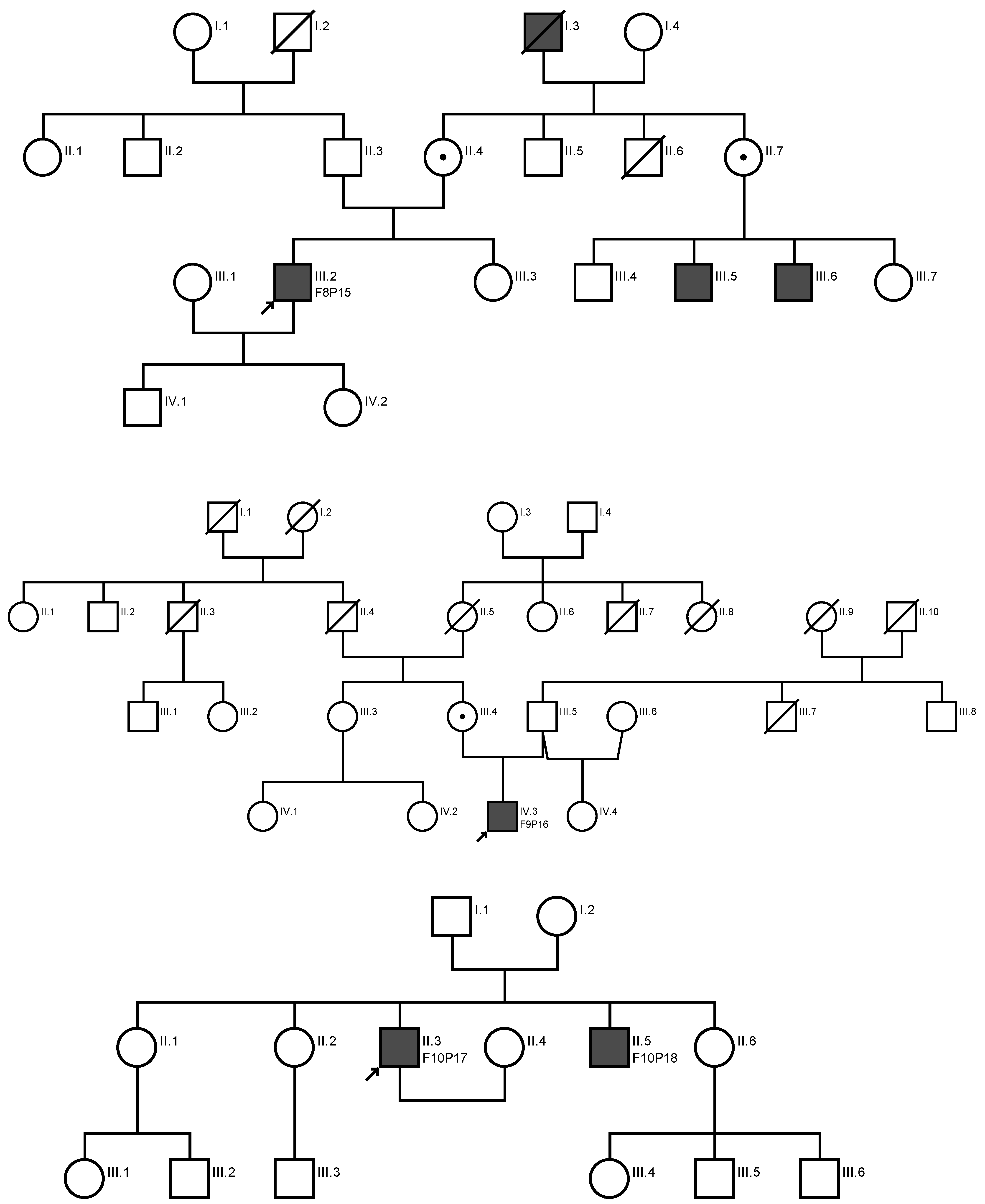 Ijms 24 03840 sch001d Ijms 24 03840 sch001d