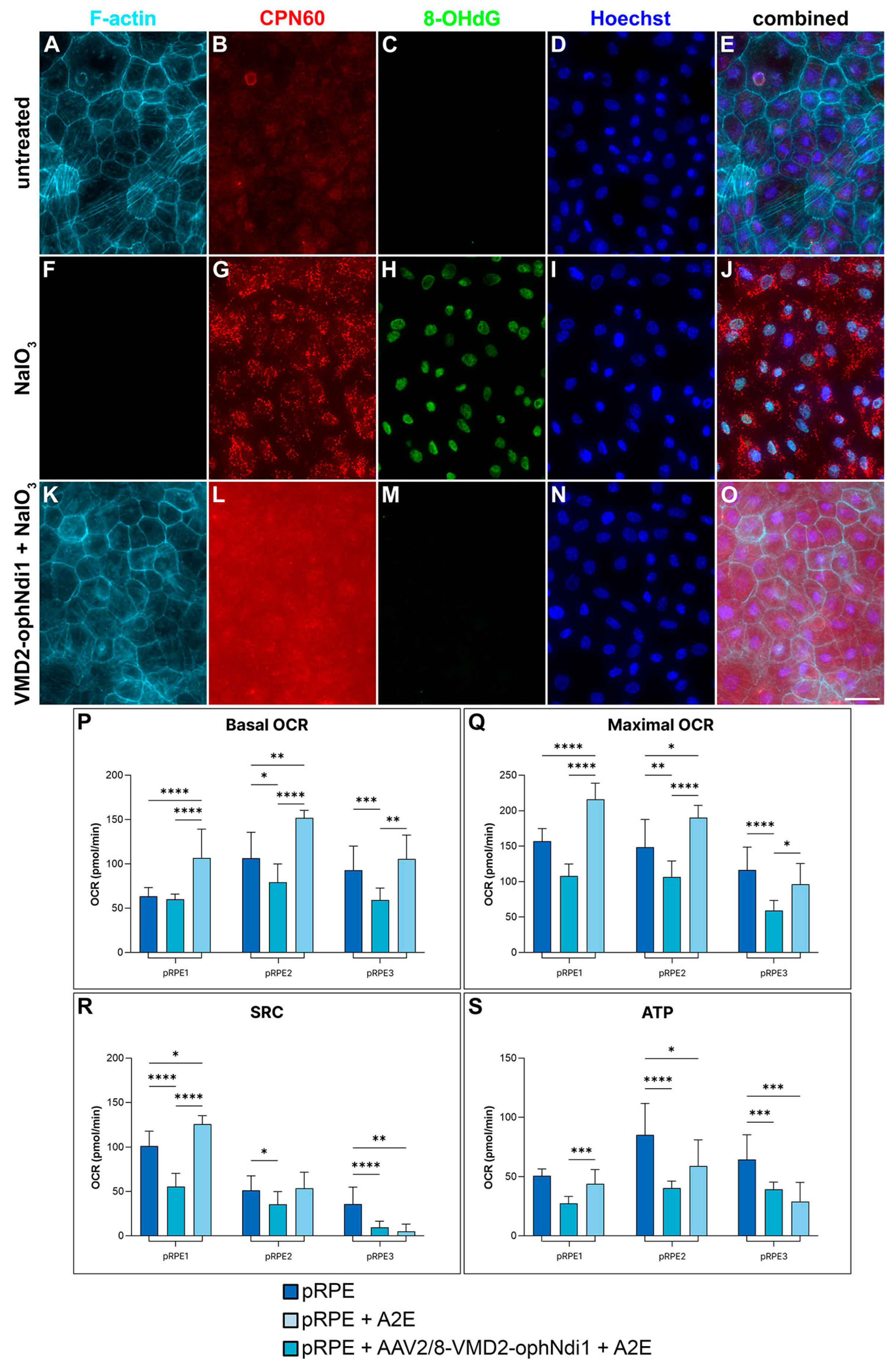 Ijms 24 03847 g002 Ijms 24 03847 g002