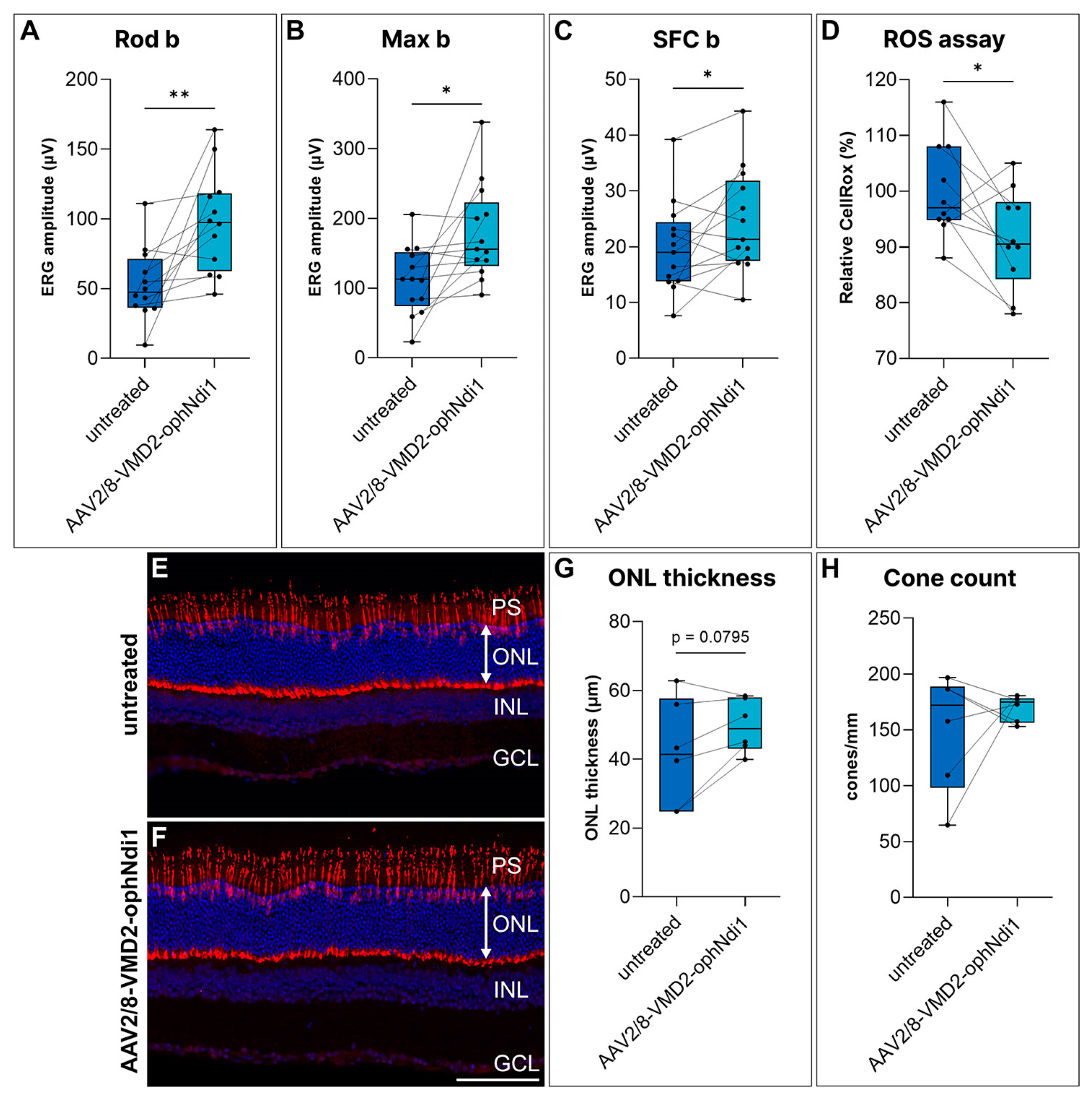 Ijms 24 03847 g003 Ijms 24 03847 g003